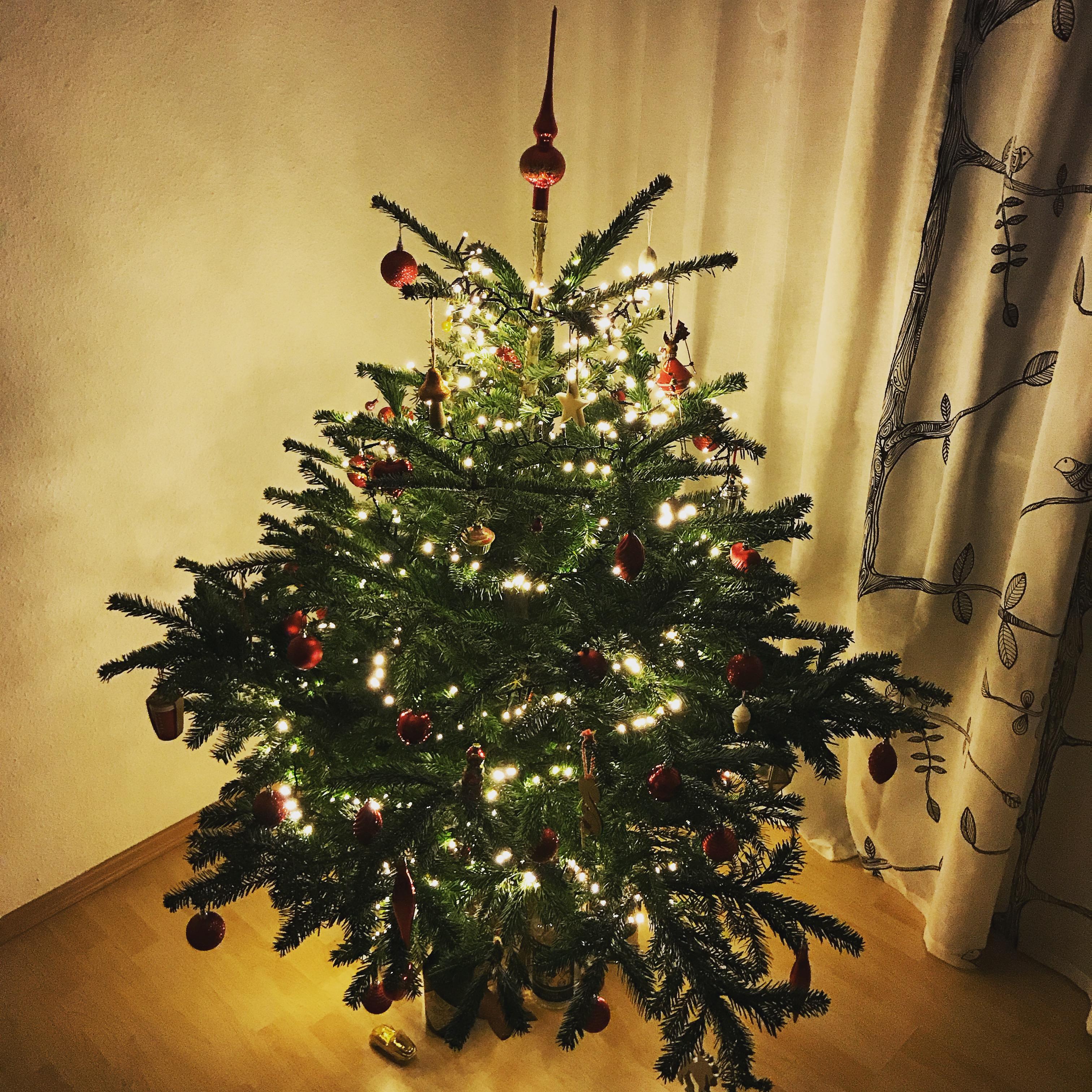 Neue Wohnung, erste eigene Weihnachtsbaum 🎄 