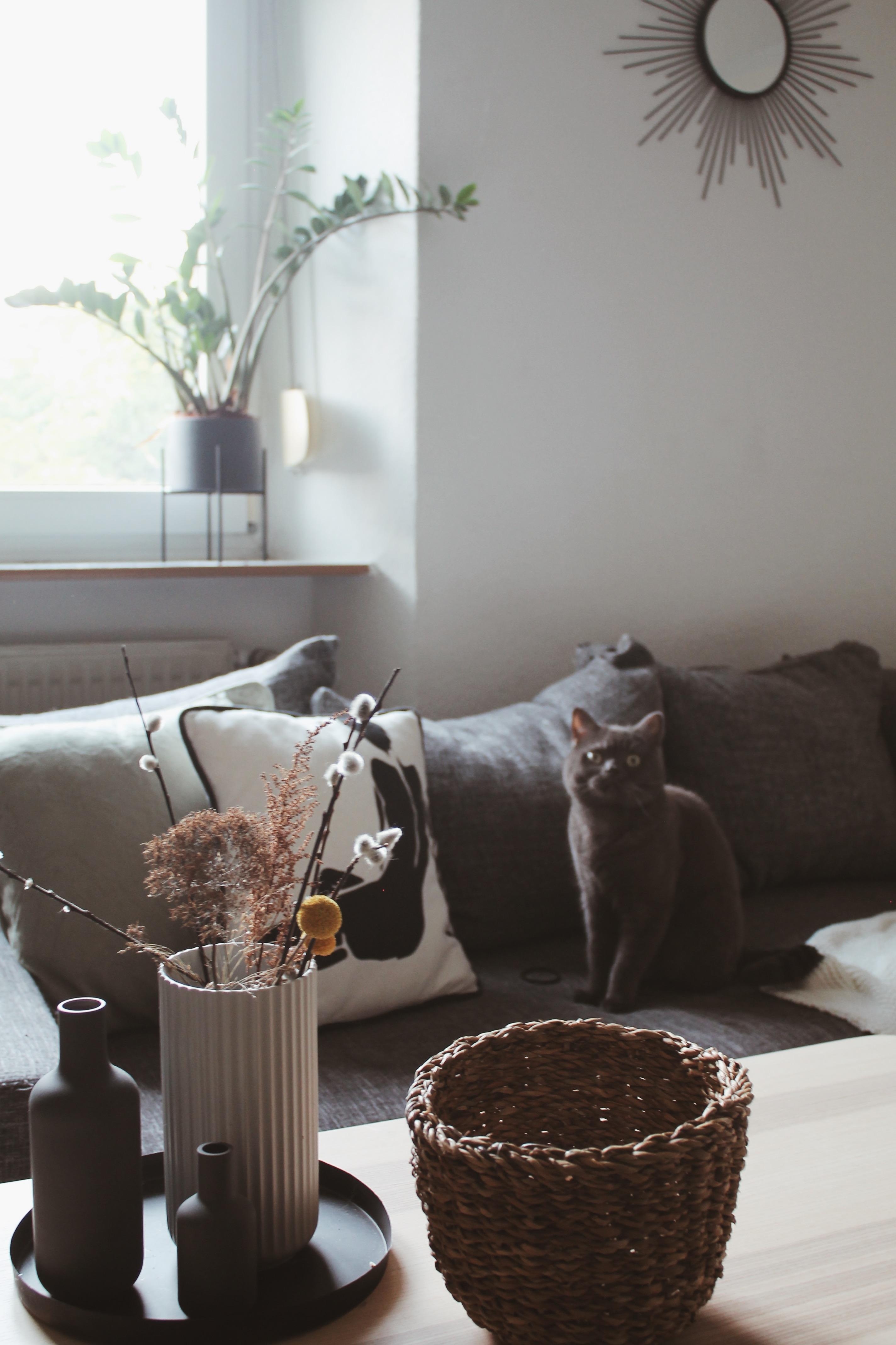 Neuen Nippes bestellt ☺️ #deko #dekoliebe #vasen #körbe #wohnzimmer #couchstyle