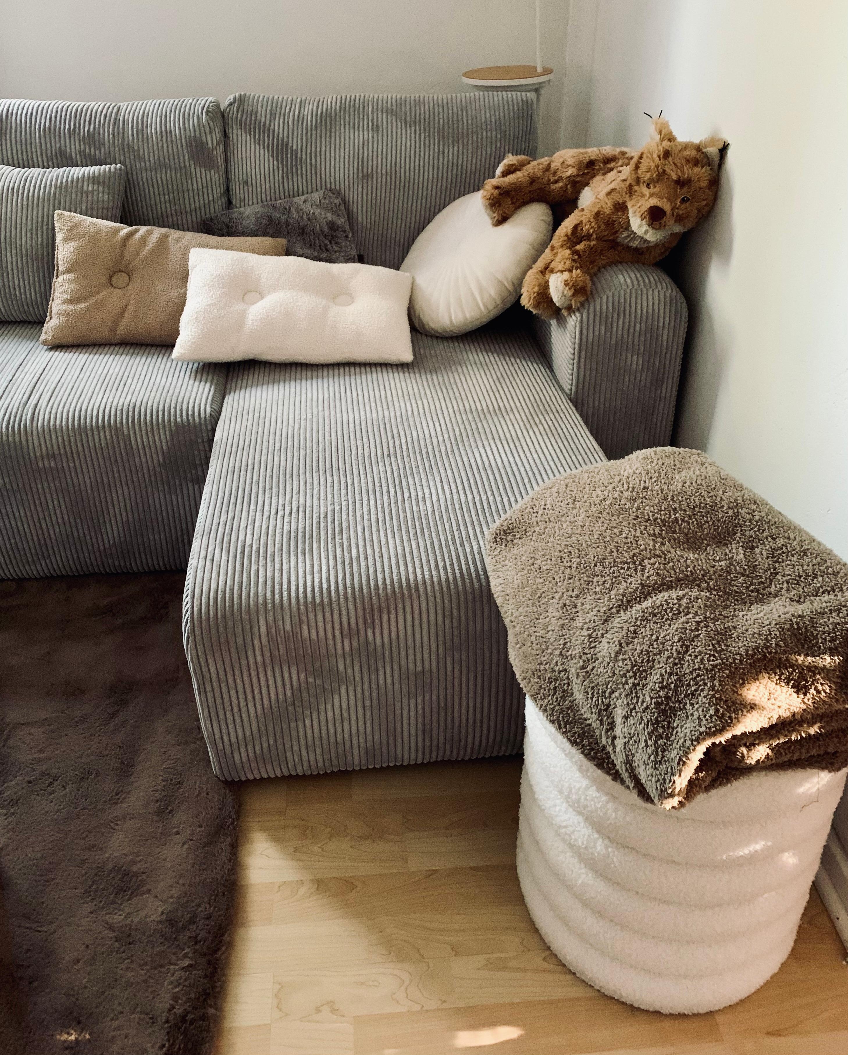 Neuer Mitbewohner 🐾
#lebenmitkind #wohnzimmer #ikea 
#couchstyle 