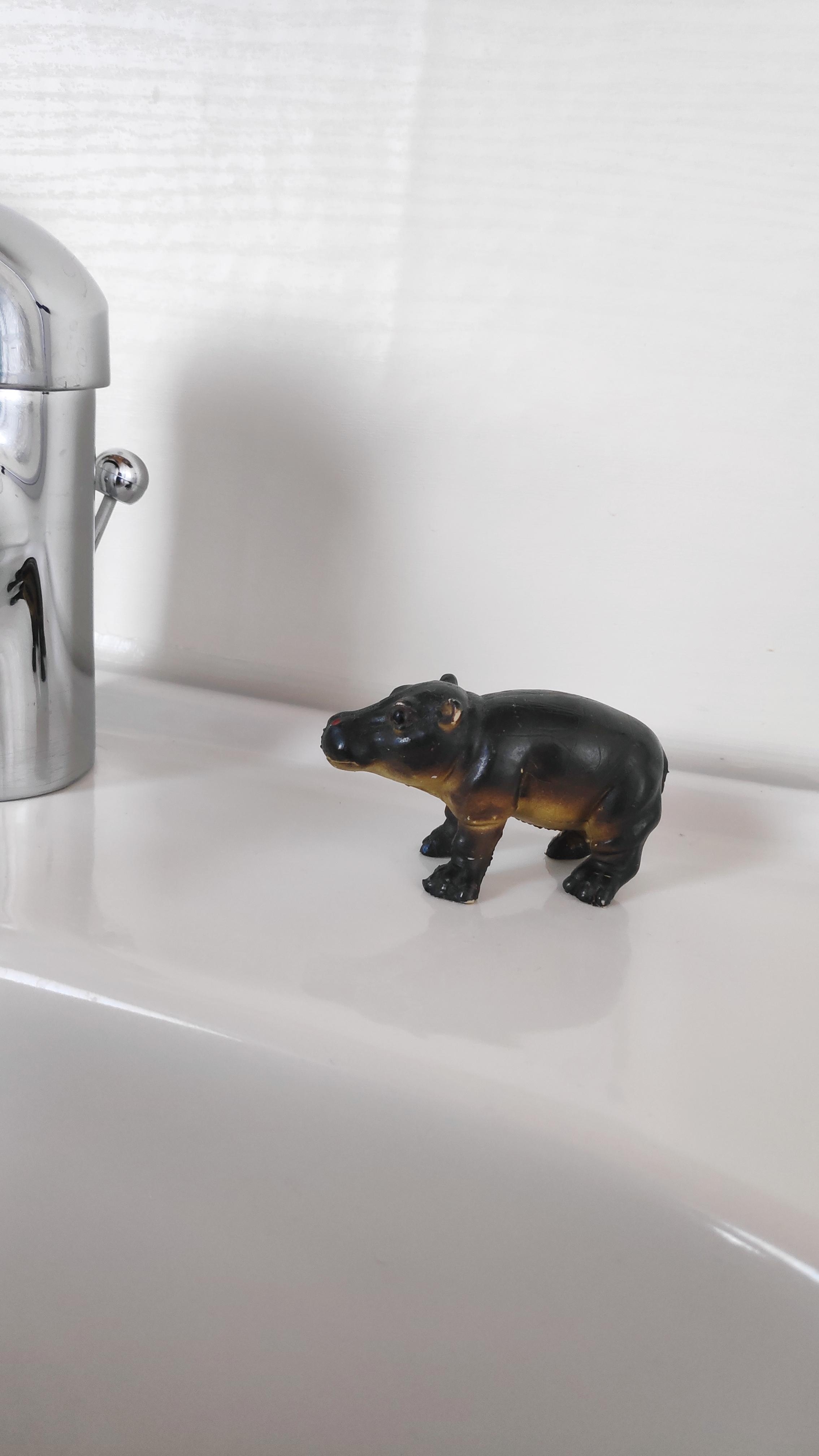 .Neuer Platz für das Nilpferd. 
.Details im Bad.
#Badezimmer #Details #Deko #Waschbecken