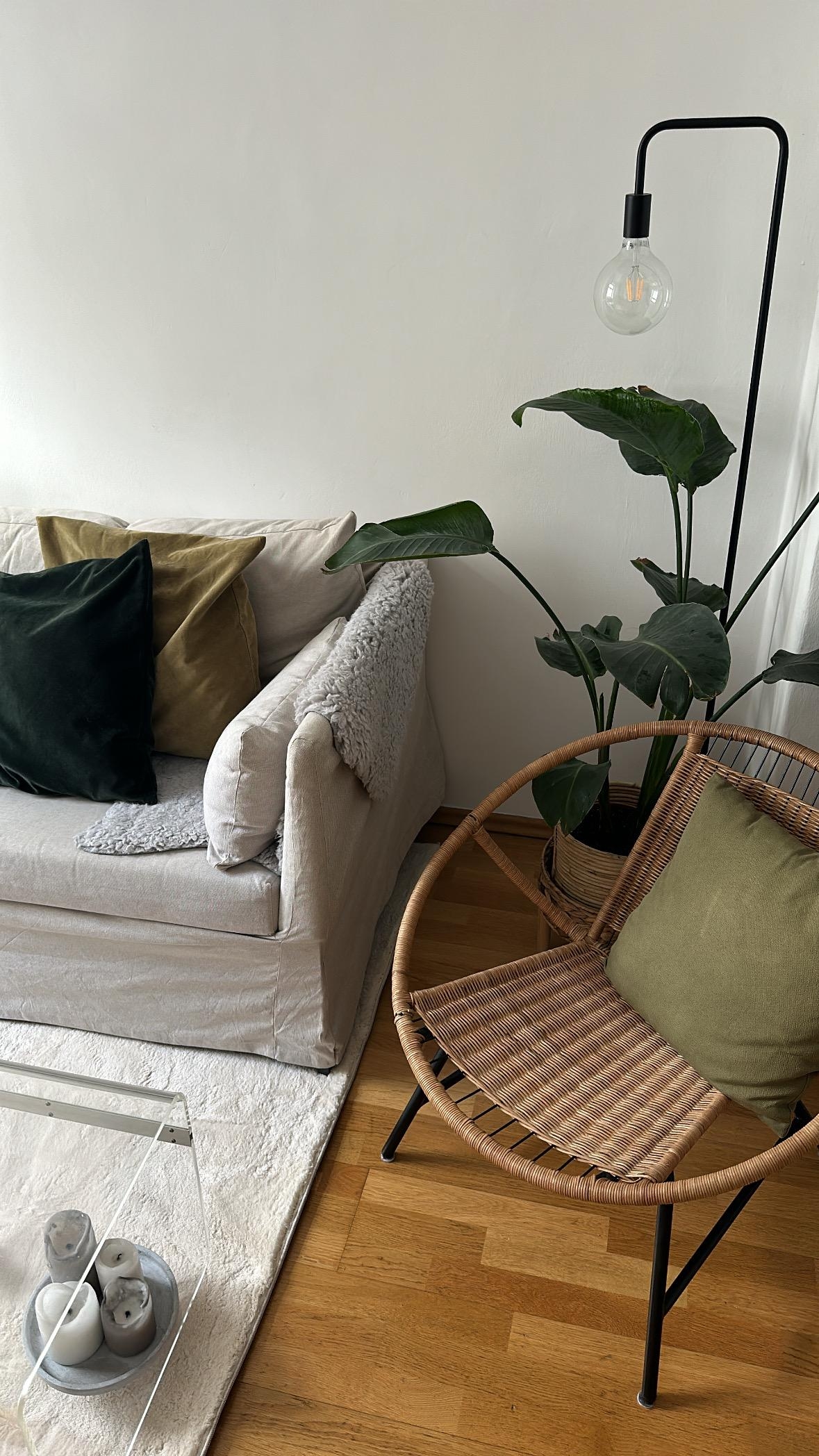 Neuer Teppich ✨

#wohnzimmer #teppich #plants #pflanzen #sofa
