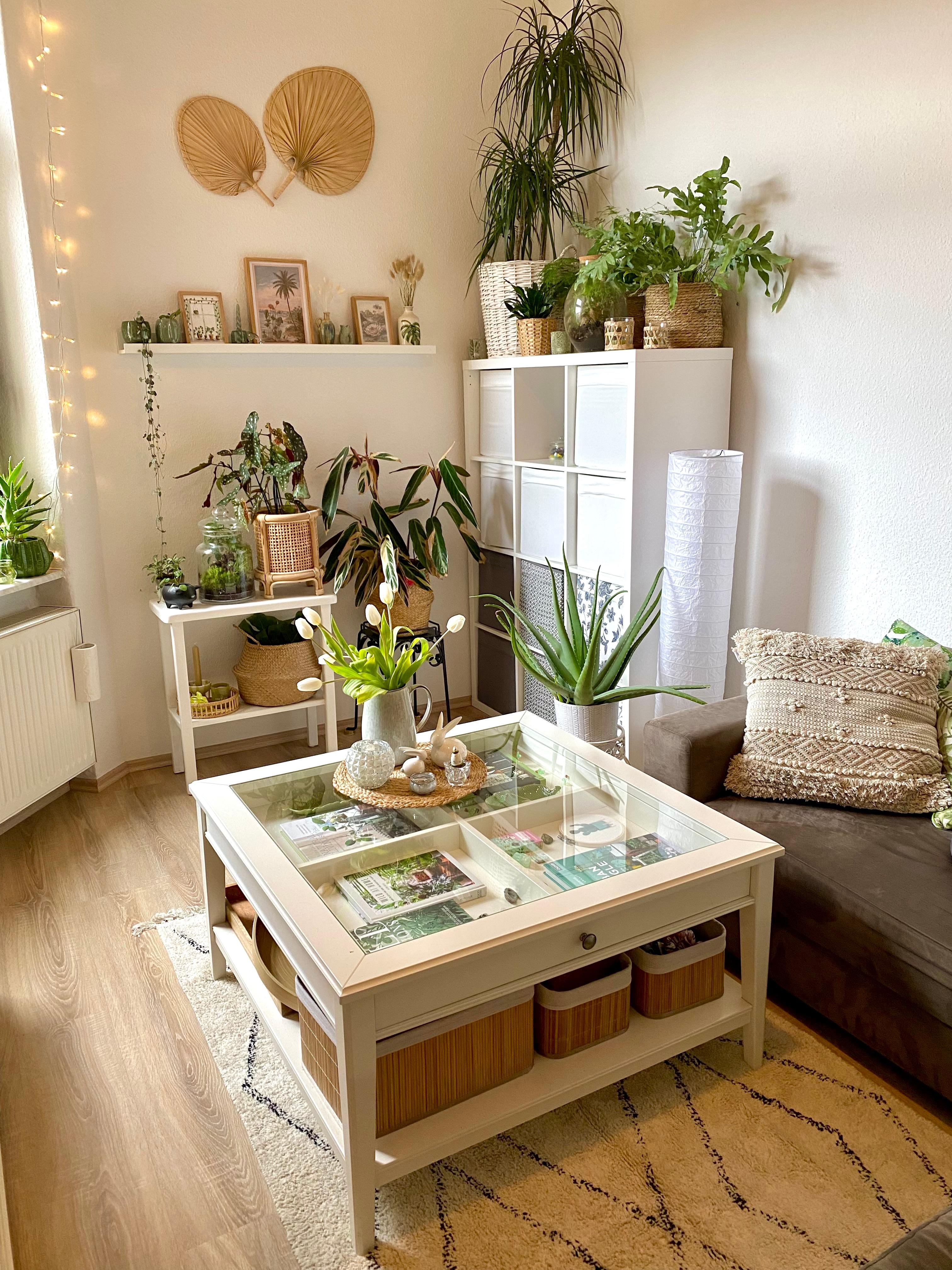 Neuer Teppich für mehr #bohovibes !
#pflanzenliebe #deko #einrichtung #dekoration #wohnzimmer #plants 