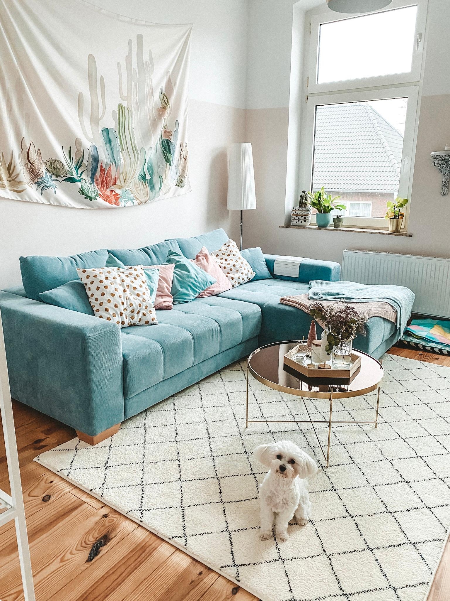 Neuer Teppich ist eingezogen 🖤 #wohnzimmer #pastel #hund im Bild 