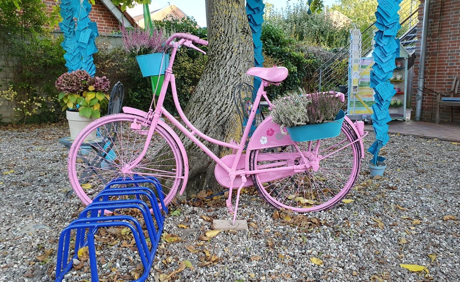 Neues Fahrradmotiv entdeckt ☺ Pink Lady im Herbstlook #Fahrrad #Deko #Herbst
