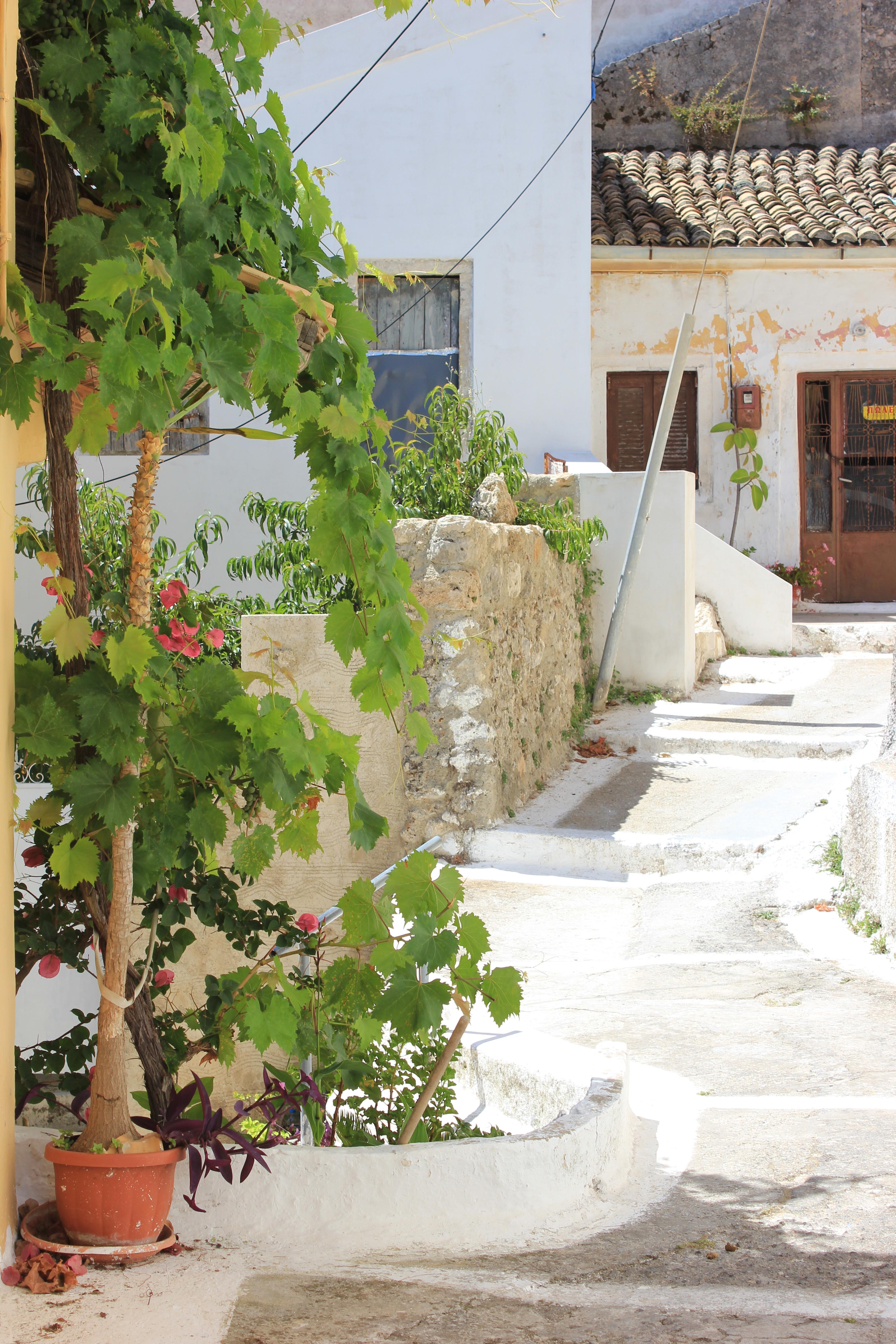 Neues Lieblingsurlaubsziel: Korfu! #urlaub #korfu #griechenland