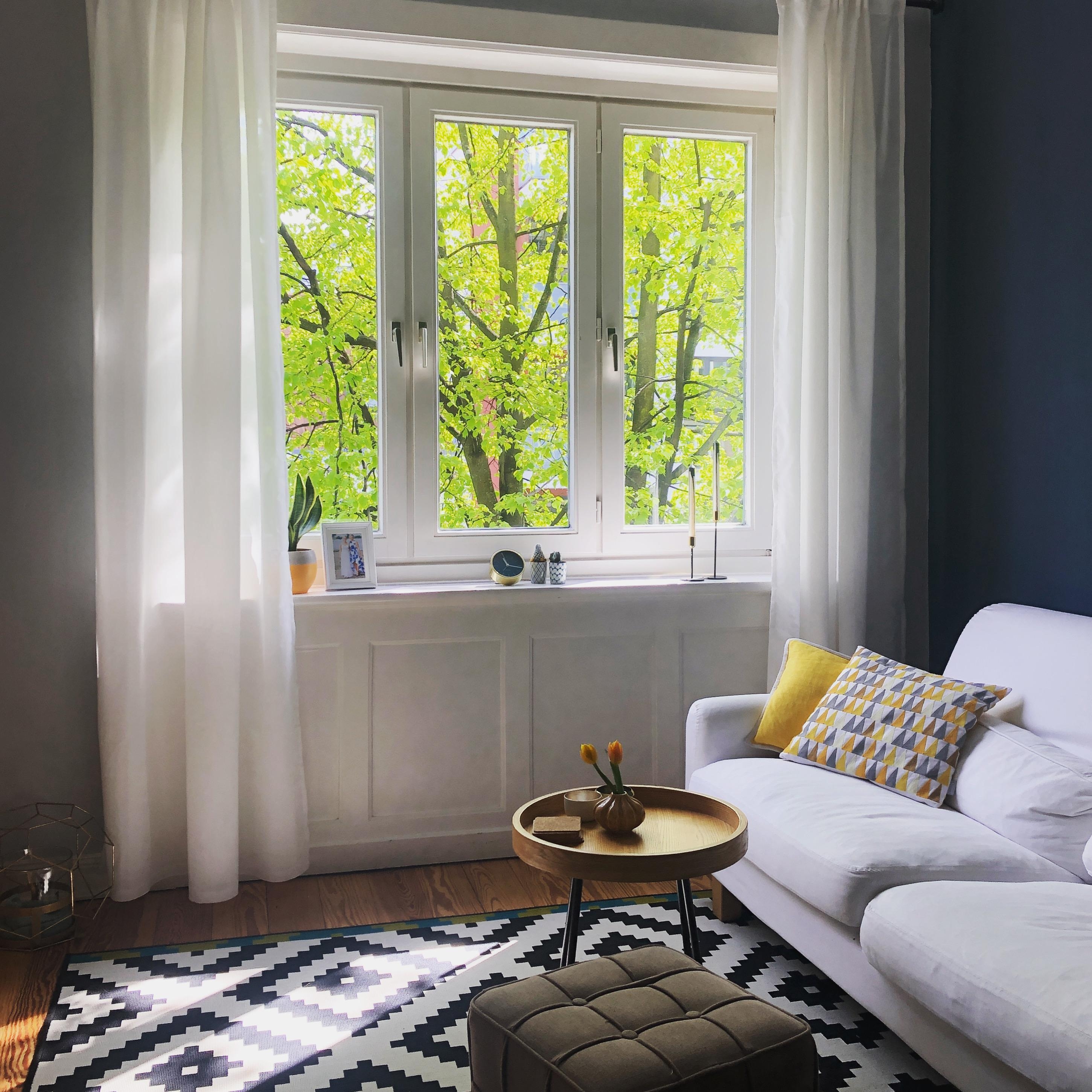 #neuhier #wohnzimmer #altbau #sonnenschein #frühlingvormfenster