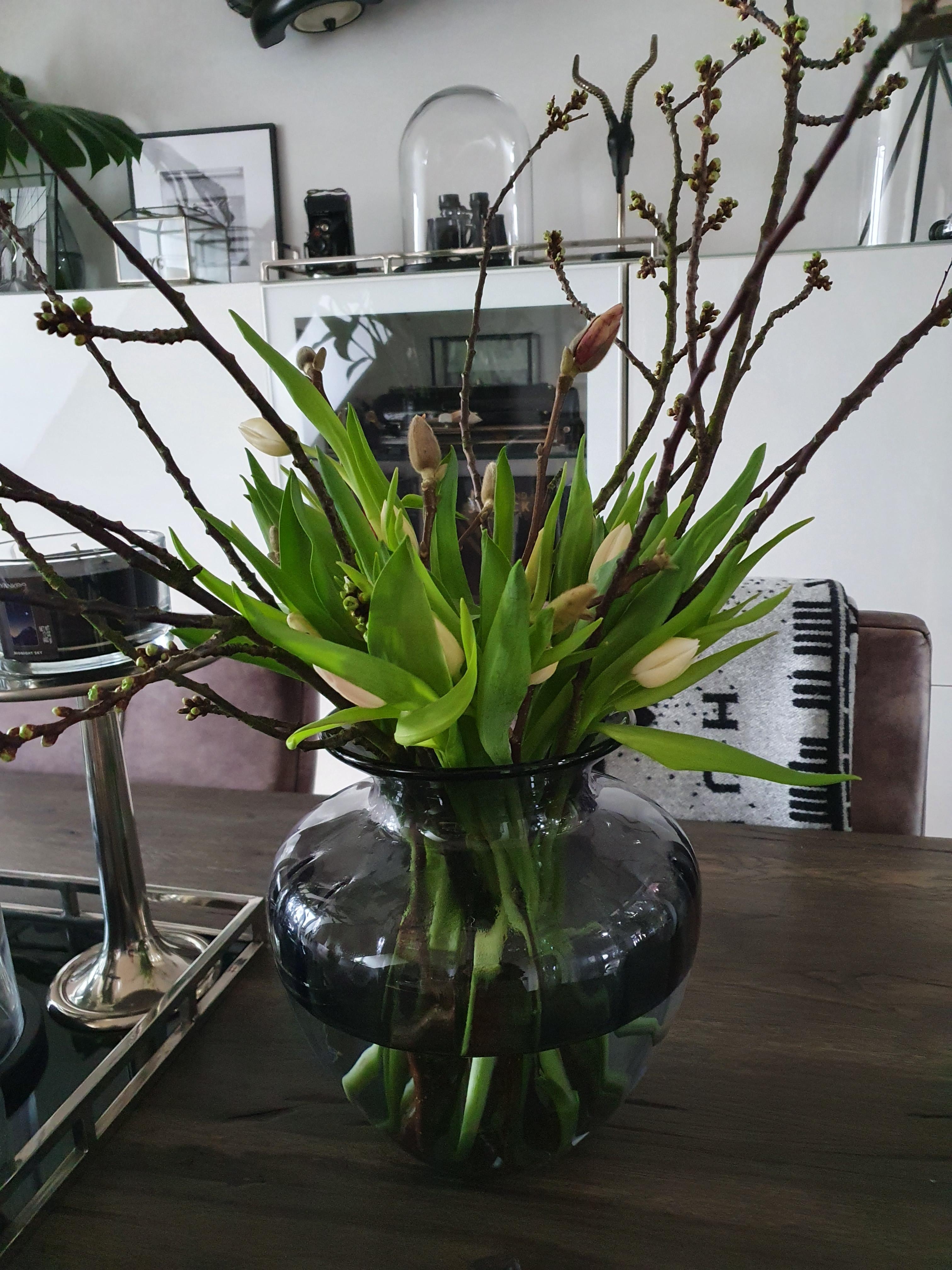 New flowers- tulpenliebe und magnolienzweige 