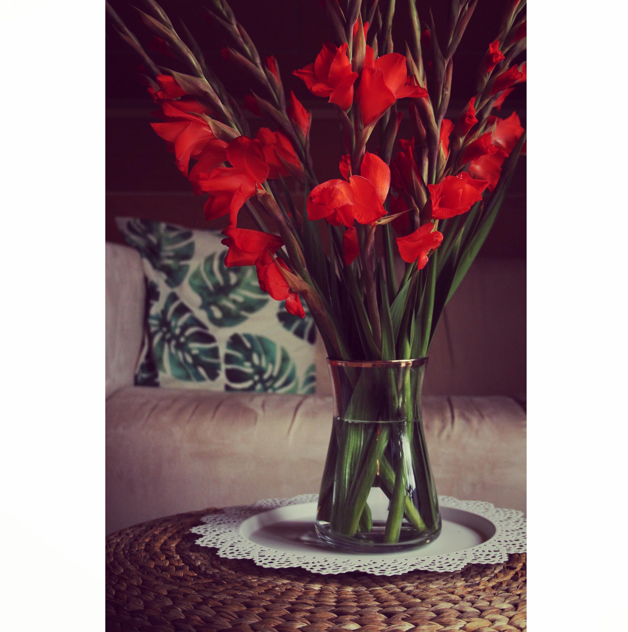 nicht ohne meine Gladiolen. #couchliebt #blumen #gladiolen #living #hygge #lagom #frauenbrauchendeko