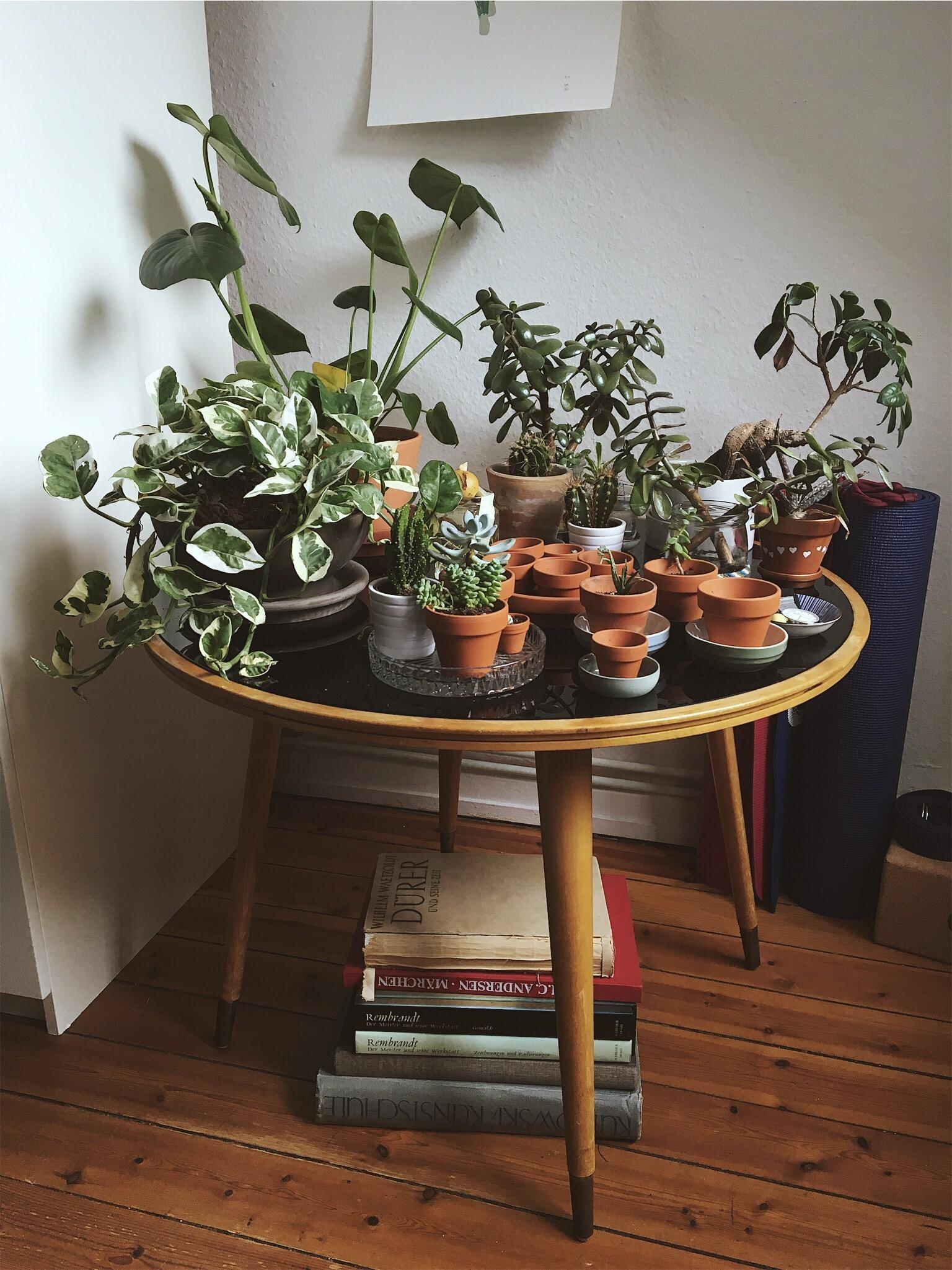 Niemals genug Pflanzen in der Wohnung! #skandistyle #pflanzenliebe #schlafzimmer 