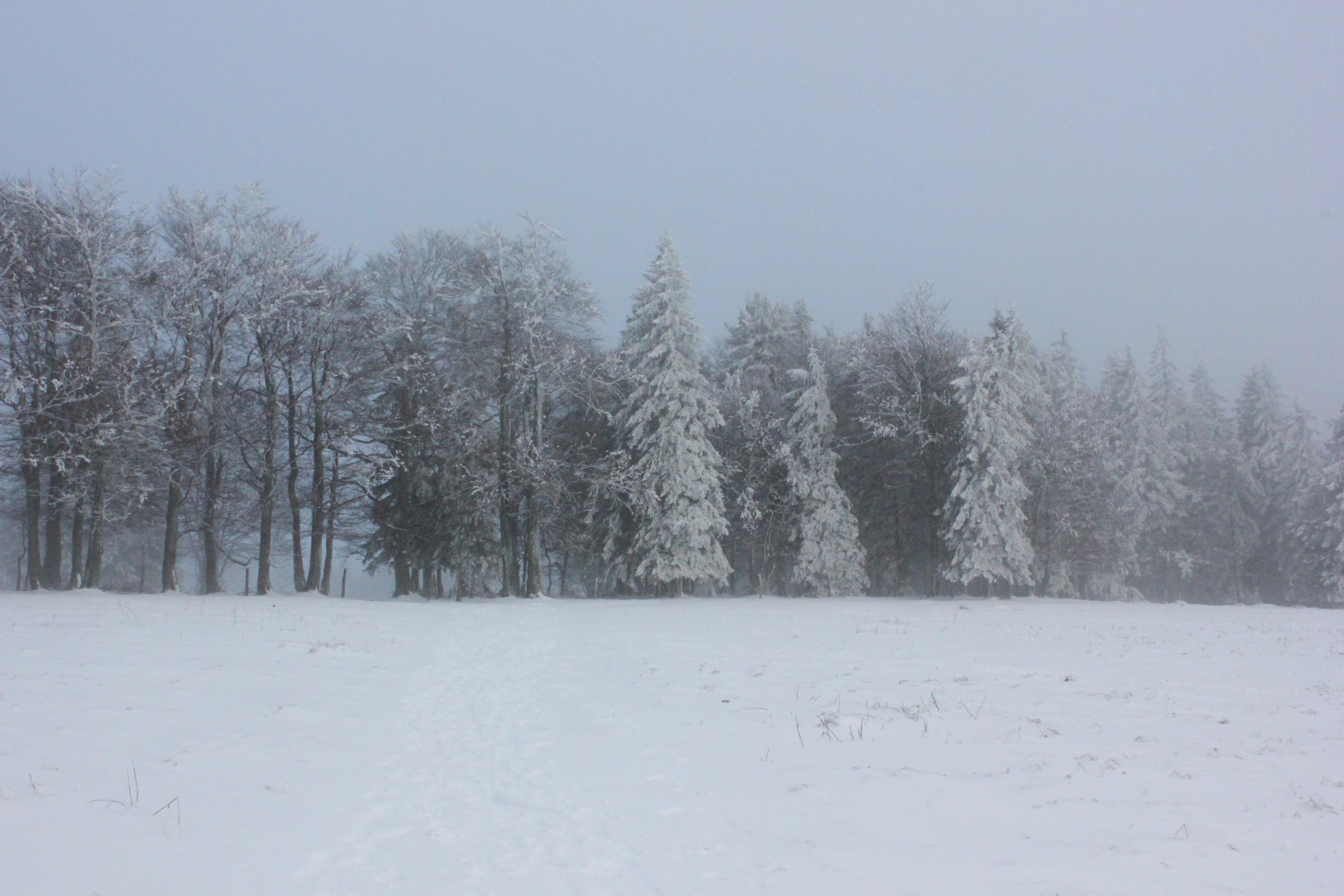 Noch mehr #schnee