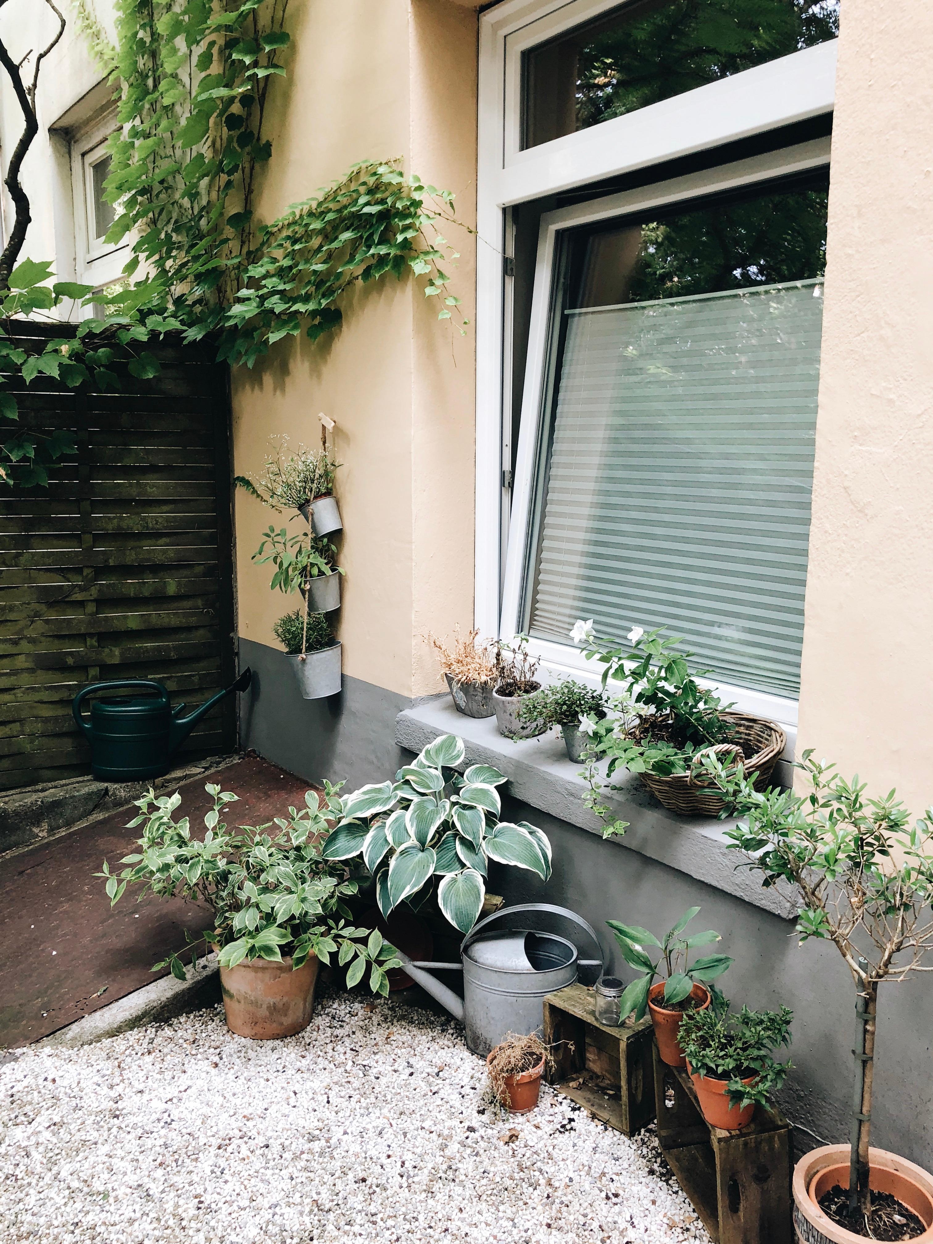 Noch nie gezeigt, dabei ist es doch jetzt im Sommer mein zweites Wohnzimmer: unser Garten mit Terrasse.
#garten #outdoor