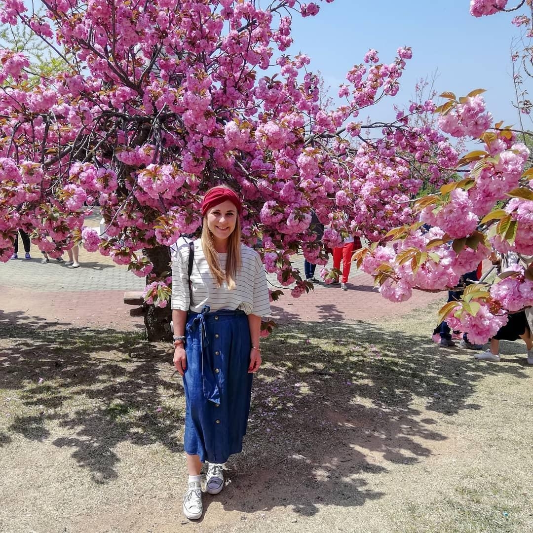 Noch vor Corona, der schönste Trip nach Südkorea 😍🌸 #kirschblüten