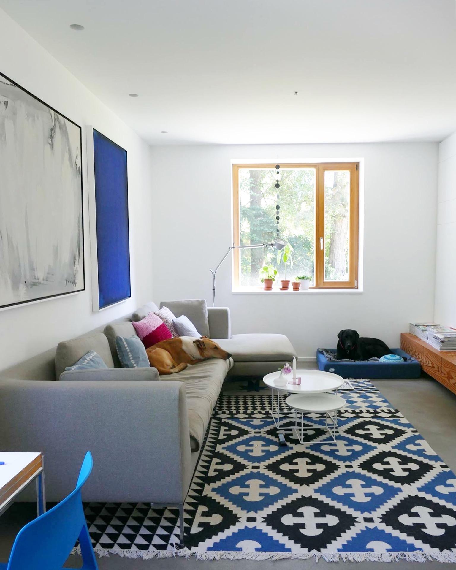 Nochmal ein pic von unseren Coucpotatoes #hunde#wohnzimmer#blau#cozy