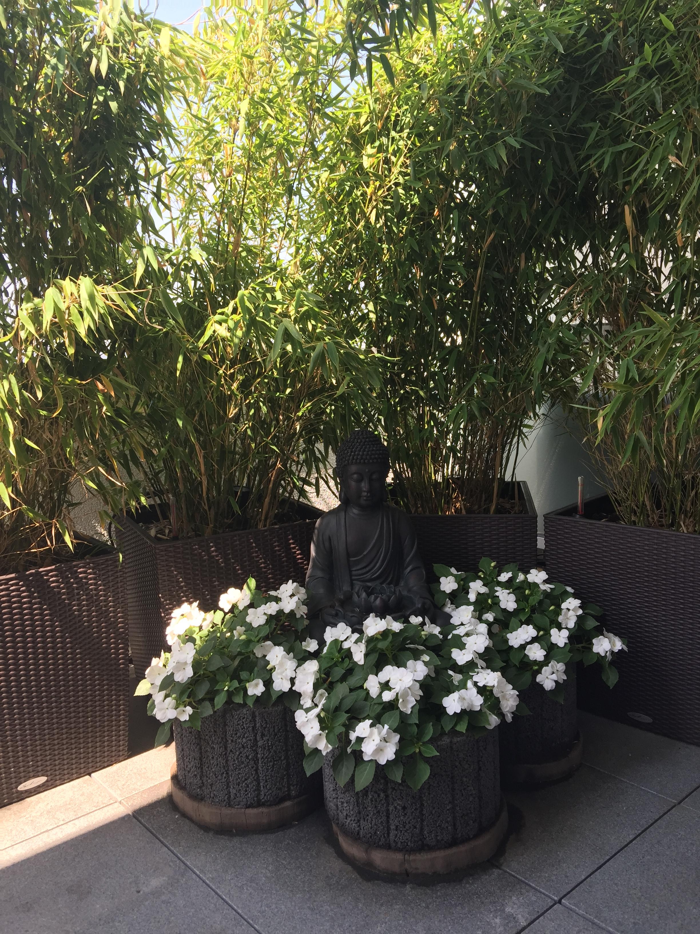 Oase der Ruhe 
#Budda#Bambus#water#chillen#
Light#