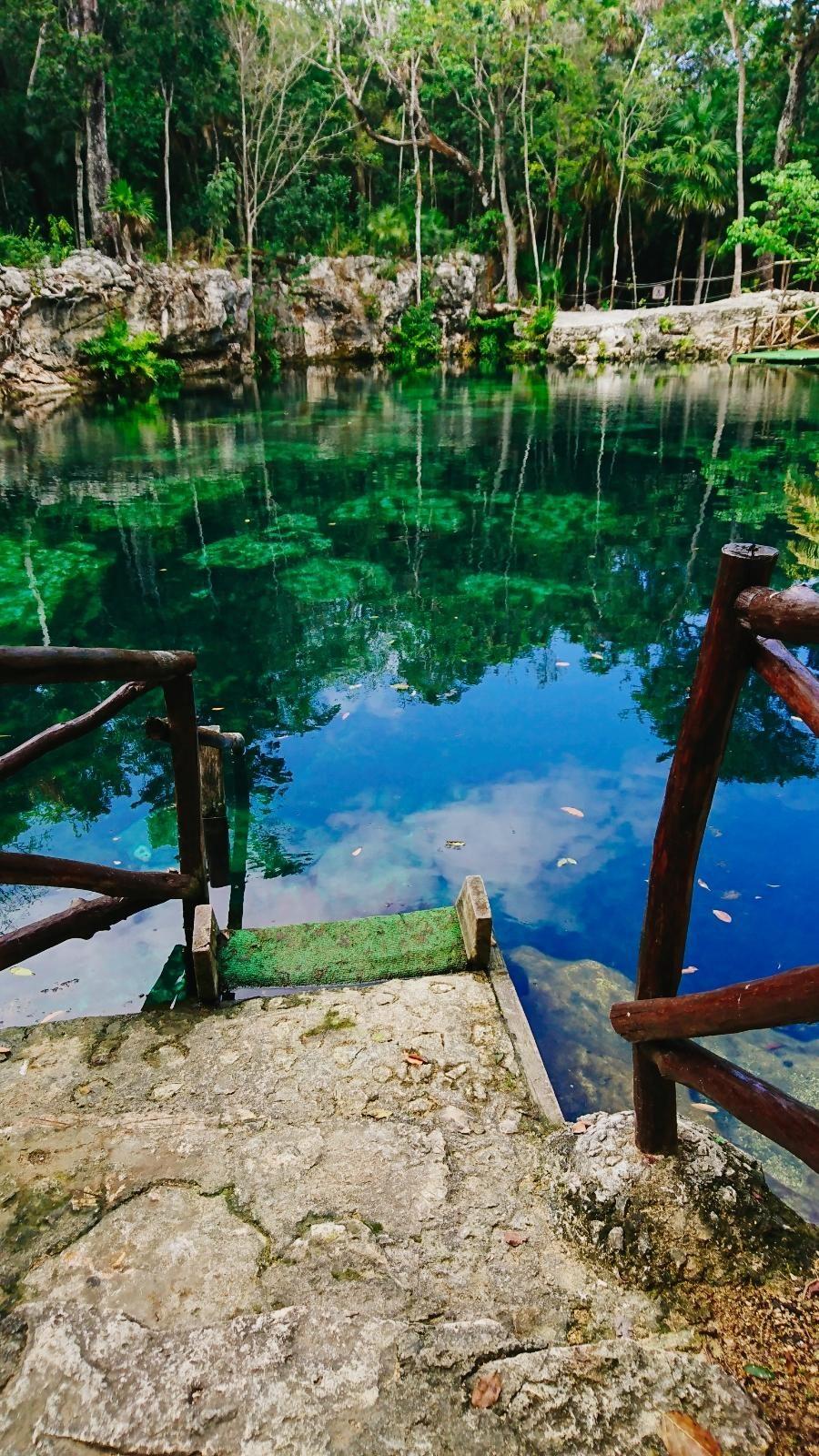 Oberirdische Cenote in Mexico / Riviera Maya #travel #lonelyplaces #türkis #blau #nature