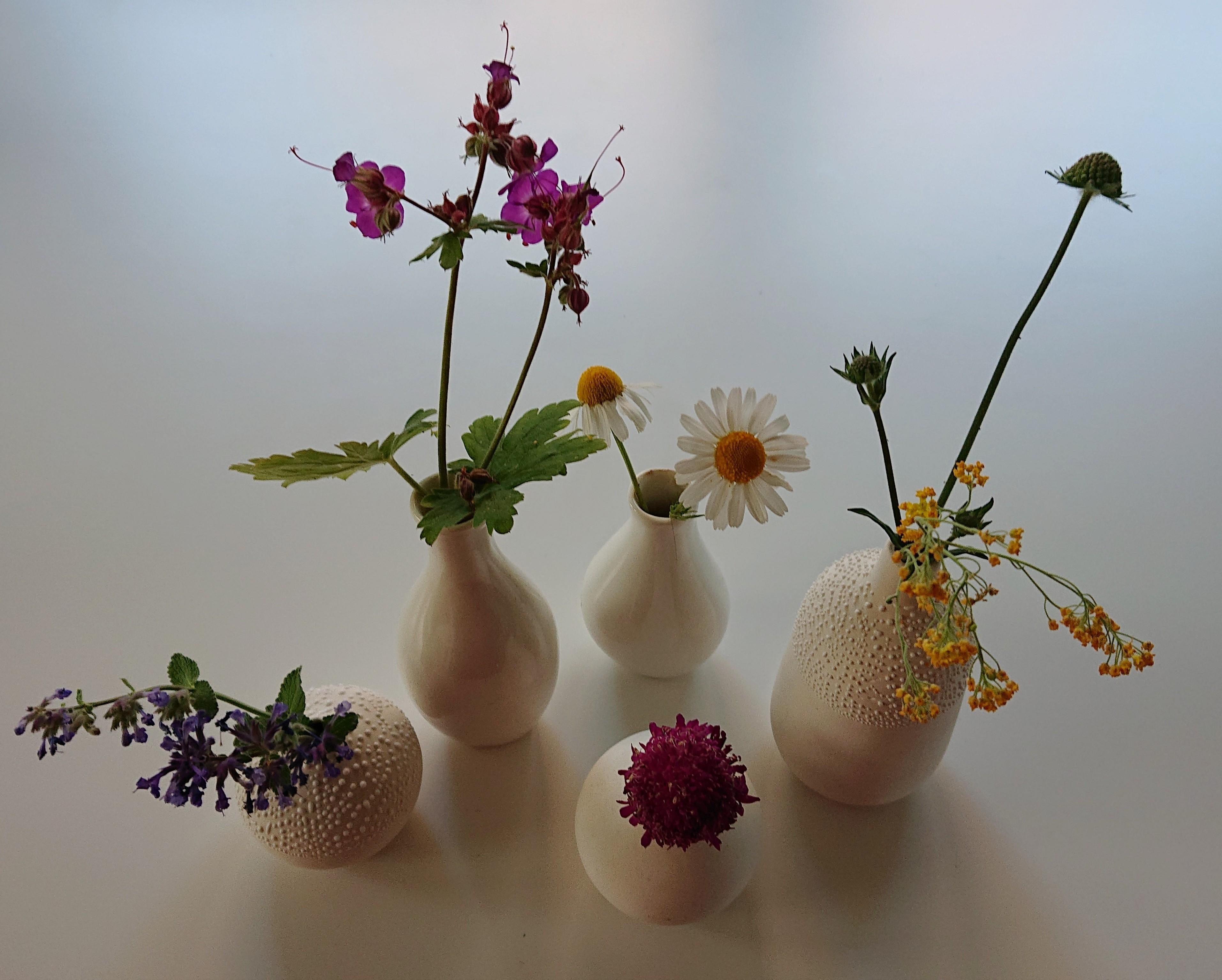 Obwohl klein und filigran bringen die Vasen doch eine unglaubliche Vielfalt auf den Tisch 🌺 #Tischdeko