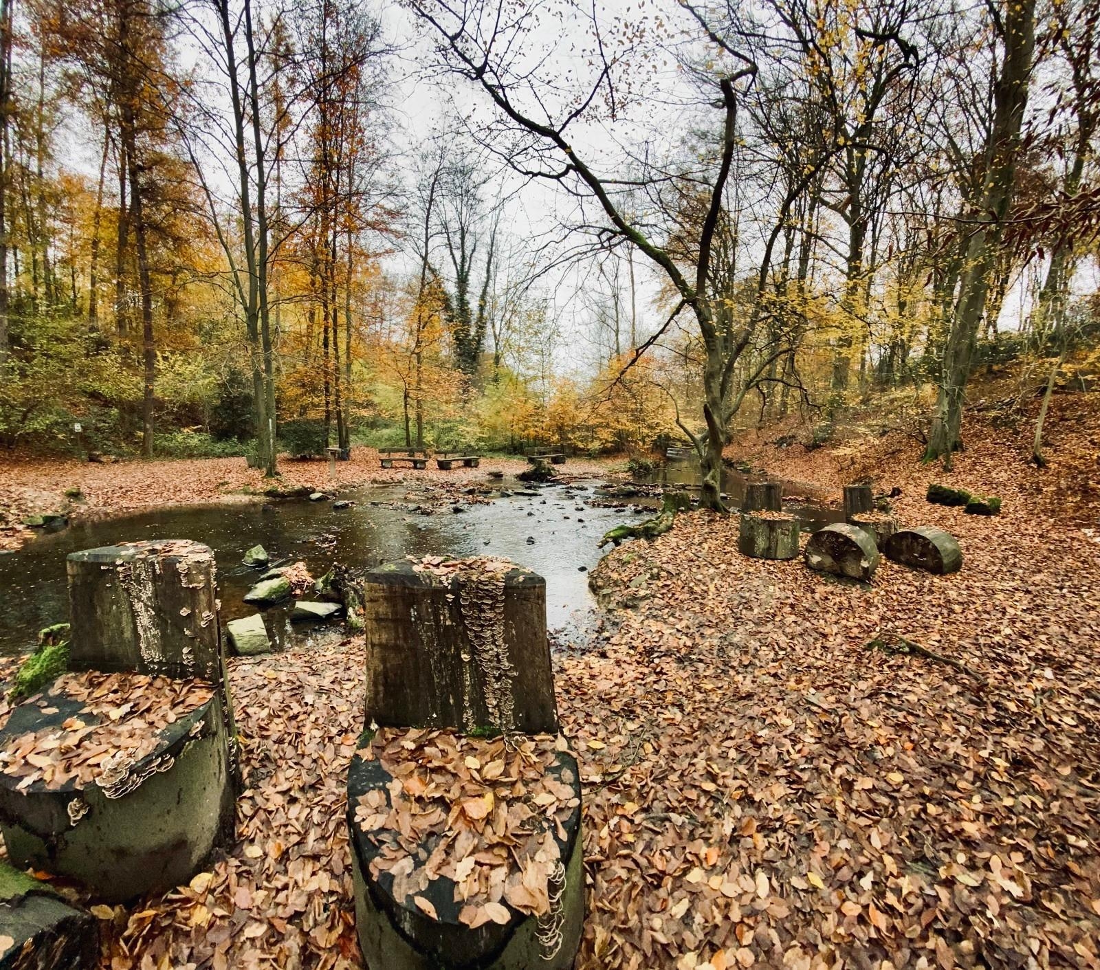 Oft vermisse ich die Großstadt.. 
Aber ich liebe es auch in der Natur zu leben 🍀