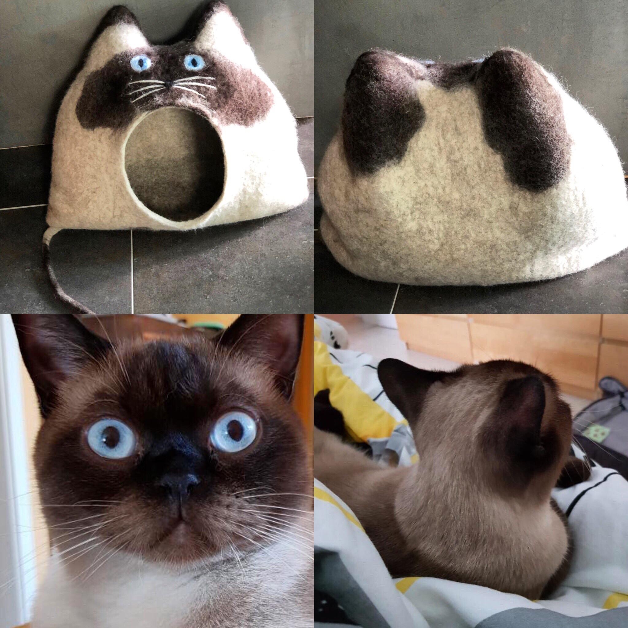 Oh, bin das ich?🥰
Ein Haus für deine Katze - Katzenhöhlen aus Schafwolle 🐑 
#katze #hygge