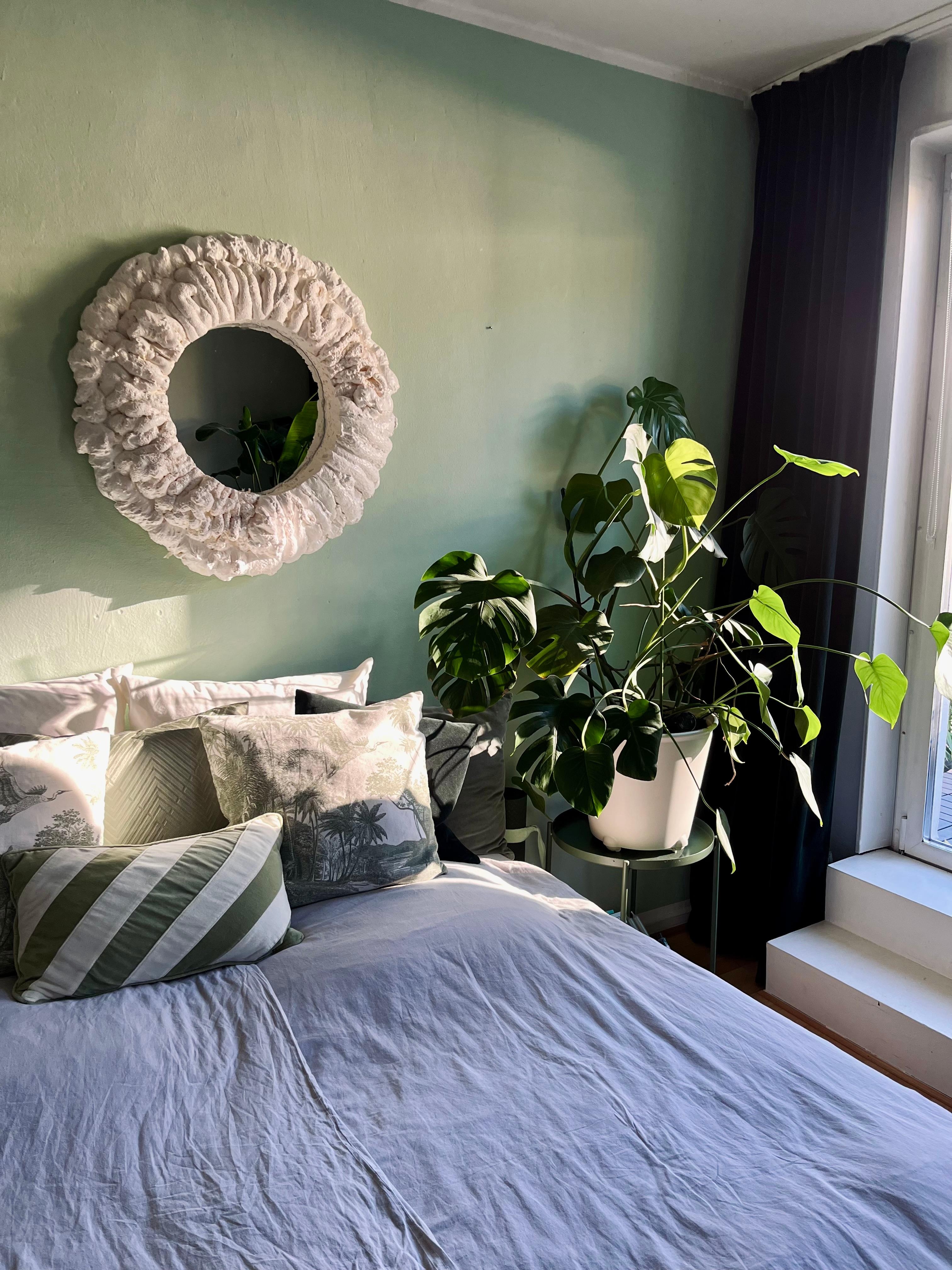 Oh du schöne Herbstsonne 🌿
#mybedroom #roominabox #sage #monstera #plantlover #sunshine #pflanzenliebe #greengreengreen 