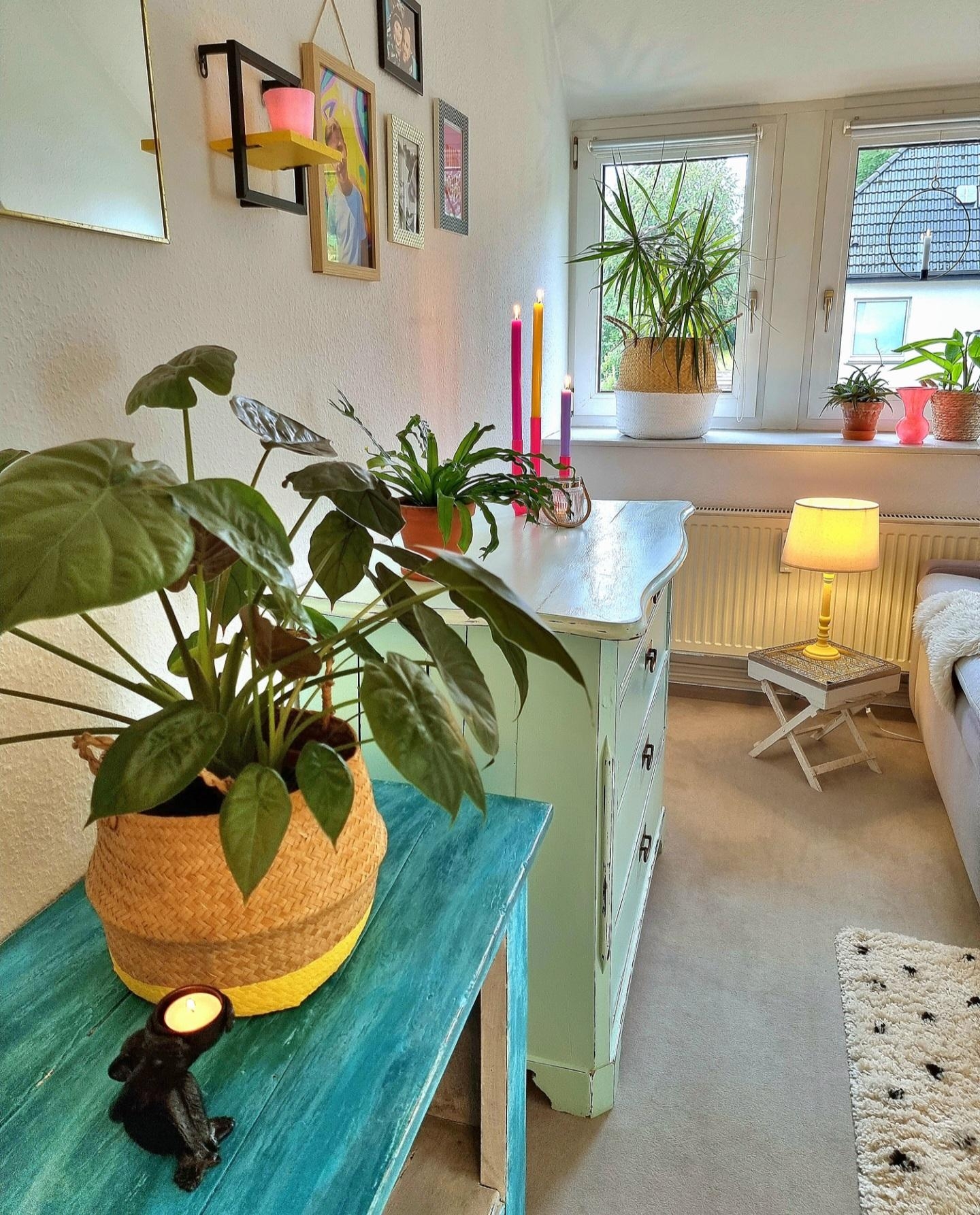 Ohne #Pflanzen ..ohne mich😉 #urbanjungle #pflanzenmutti #schönerwohnen #Wohnzimmer #Vintage #diy #Kreidefarbe #interior