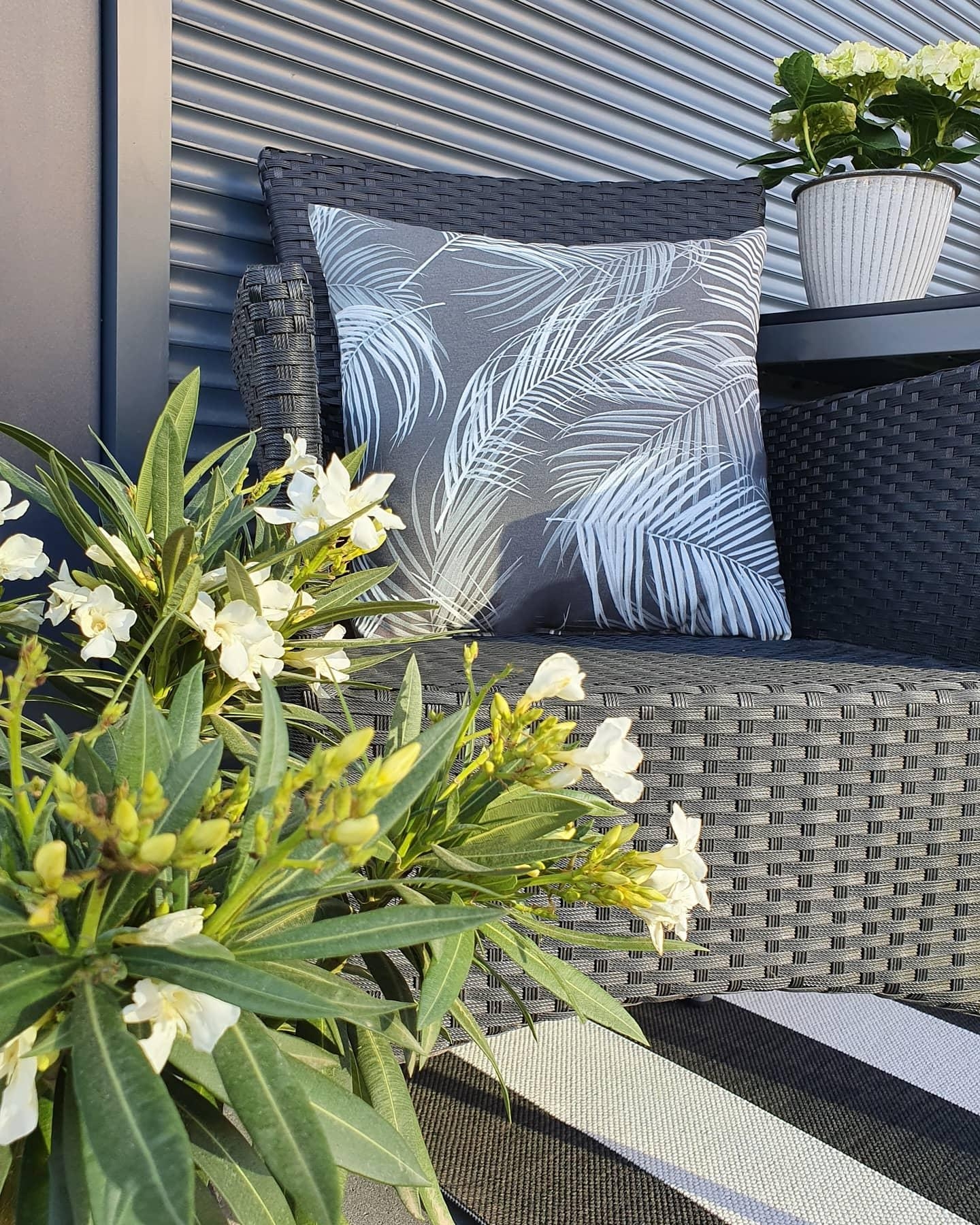 Oleander in weiß
#oleander #outdoor #outdoorzimmer #terrasse #terace #homeandliving #homestyle 