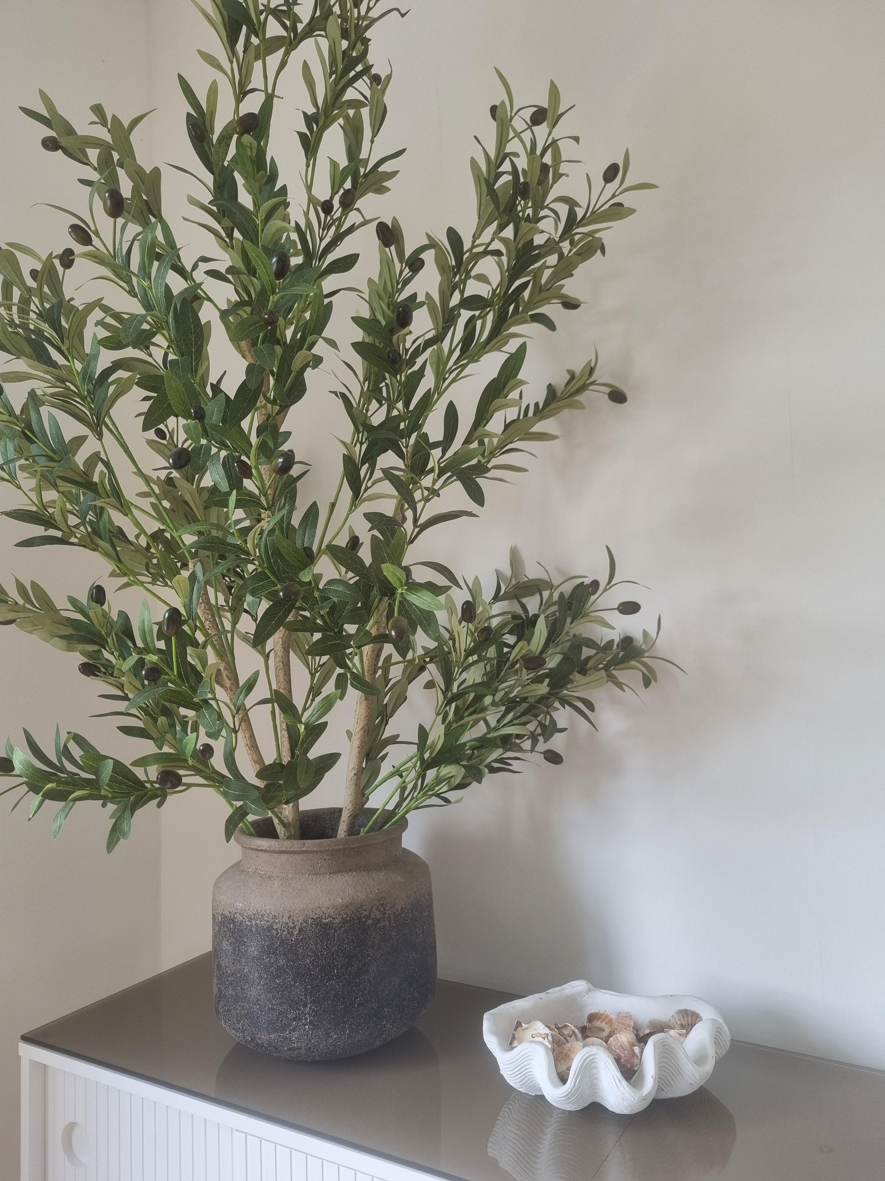 #olivenbaum #mediterranedeko #sommerinterior #sommer