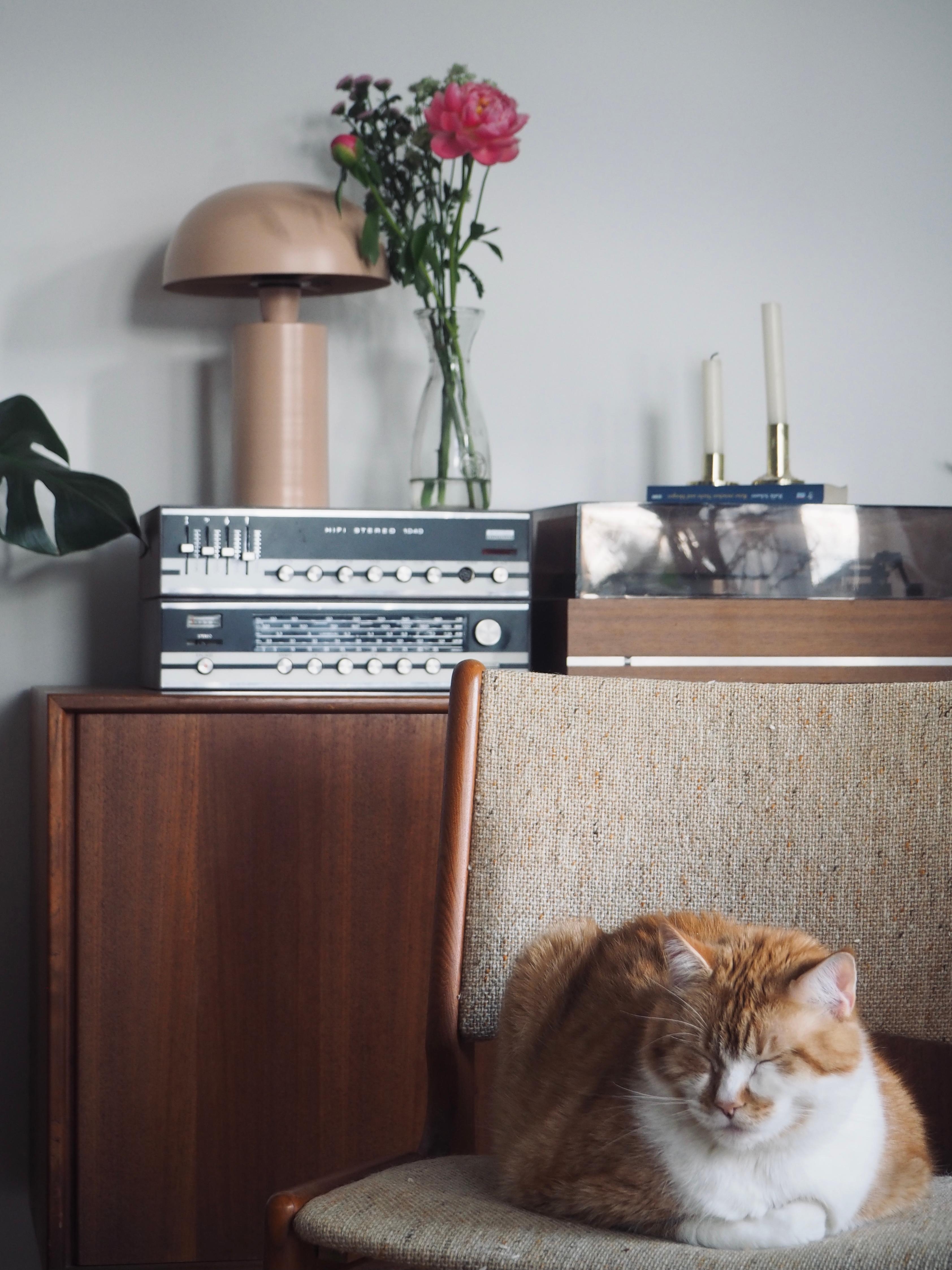Ommm... 🧘🏼‍♀️
#sideboard#vintage#cats#relax
