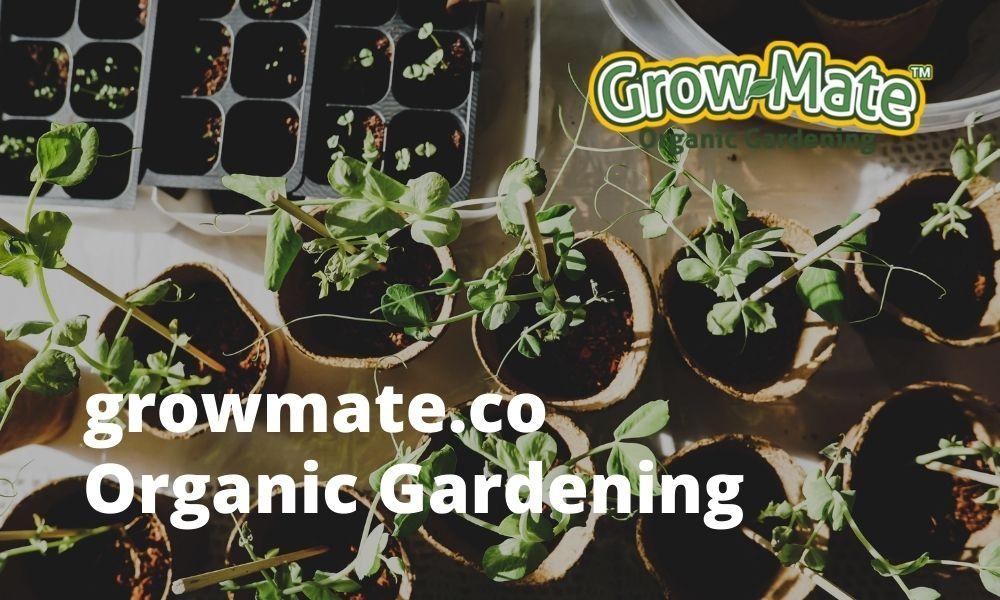 Organic is the future of gardening. Grow-mate’s mission is to transition gardeners from synthetic to natural nutrients. 