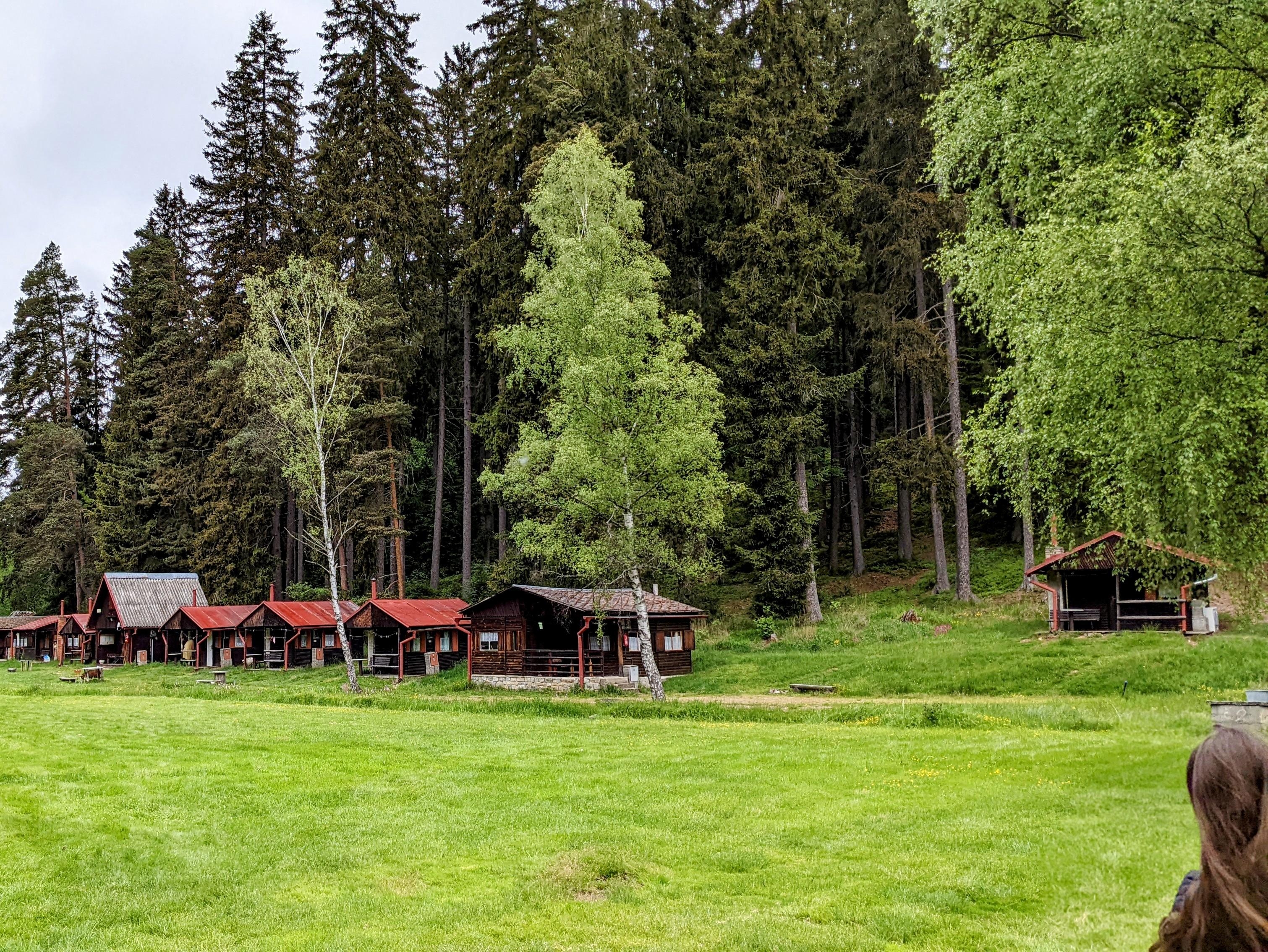 Ort: Šumava, Tschechien 🇨🇿

So eine schöne Natur, mit riesigen Bäumen habe ich noch nicht gesehen. #urlaub #camping