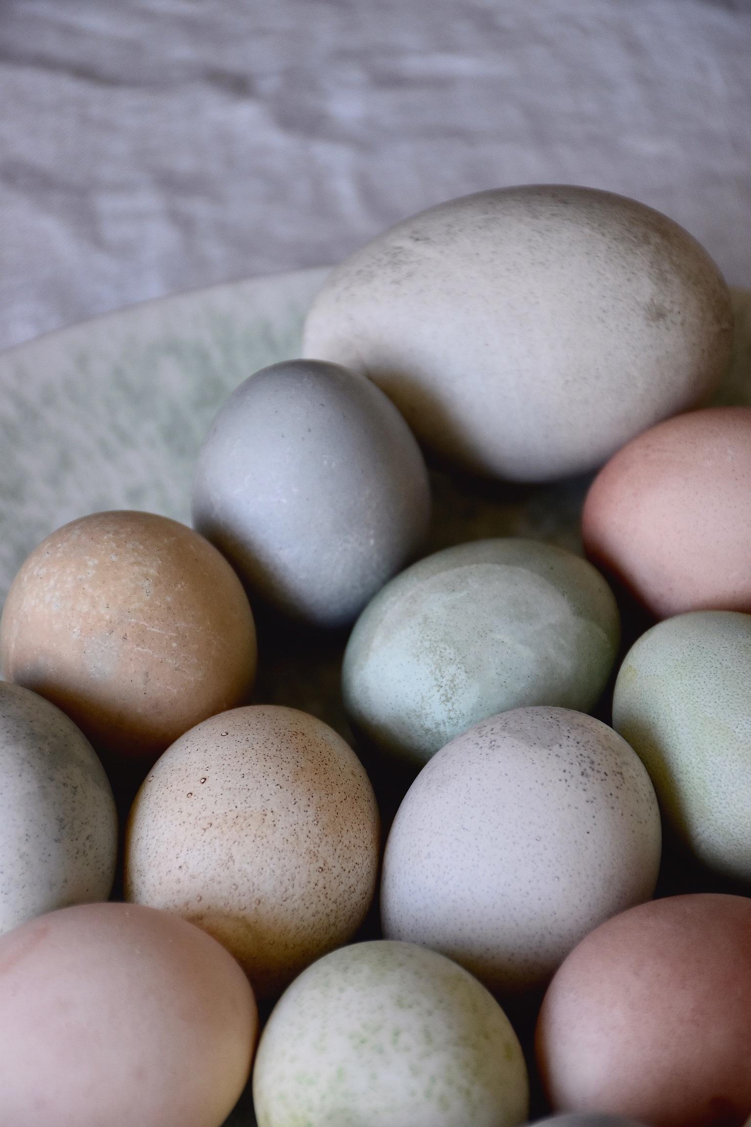 Ostereier natürlich färben #anleitung #blog #ostereier #natürlichfärben