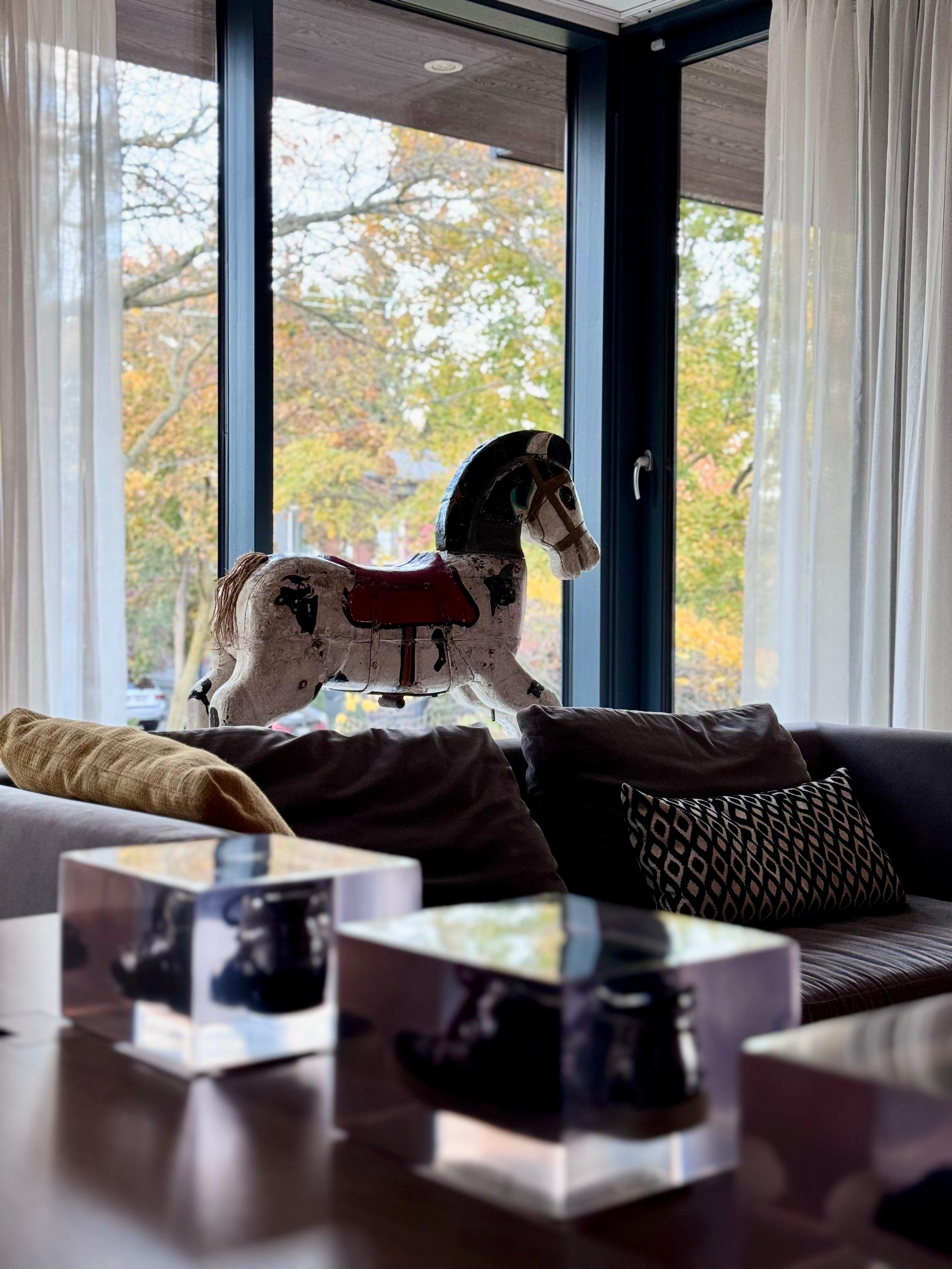 Our house is know the one with the horse. #horse #library #homedecor #view #roomwithaview