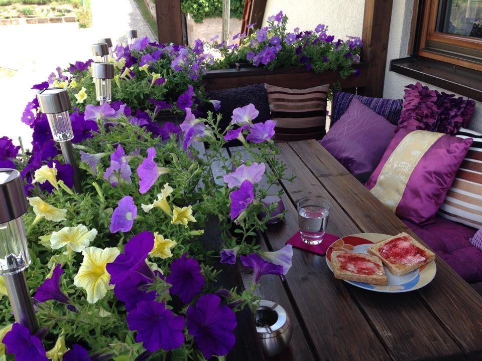 #OutdoorWeek #balkonien 💜verliebt, 
Frühstück... Klein, aber fein...#Oase 
