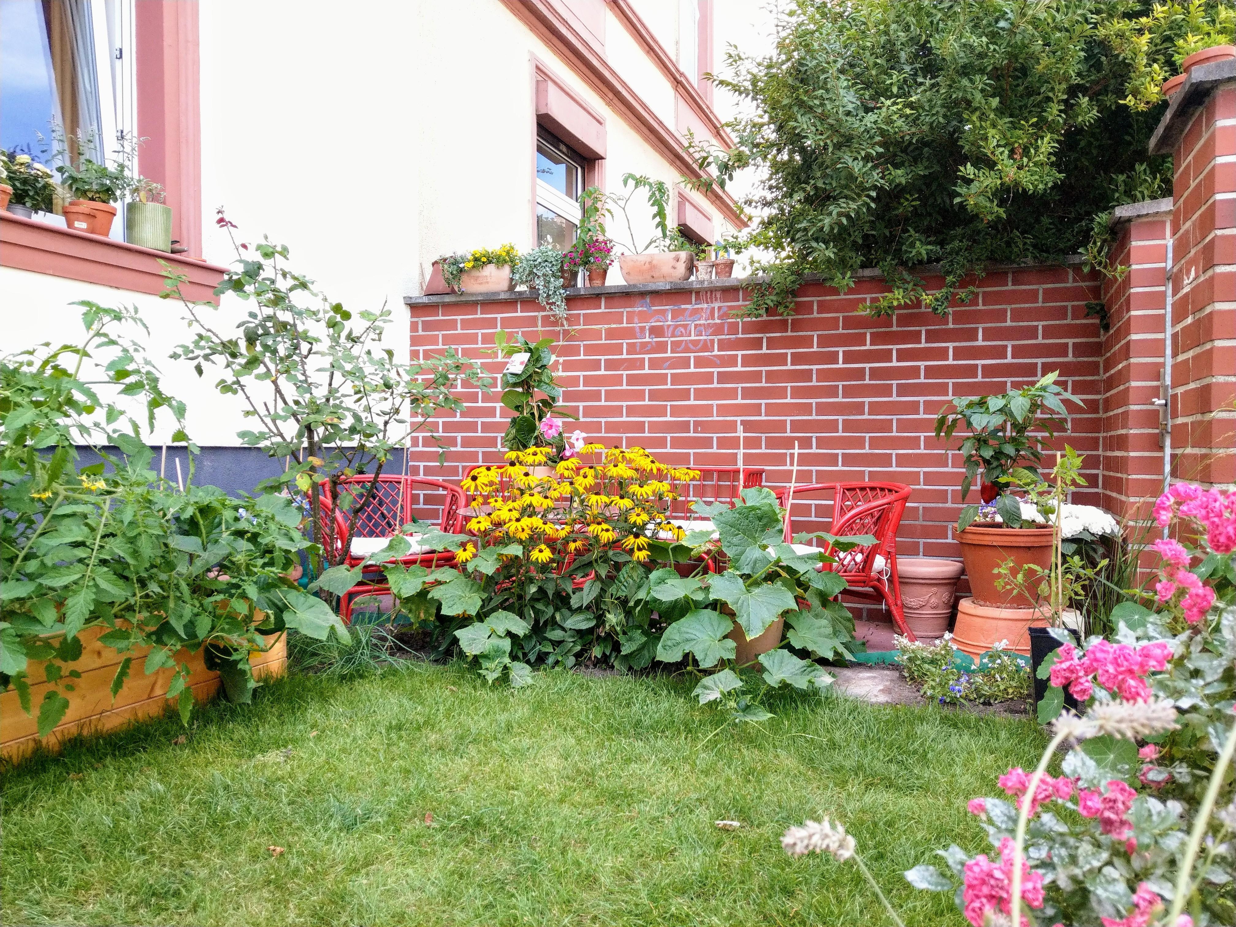 #outdoorweek
Hier ist unser kleiner Garten mitten in der Stadt. Sowas hat man selten, weshalb wir ihn umso mehr lieben!