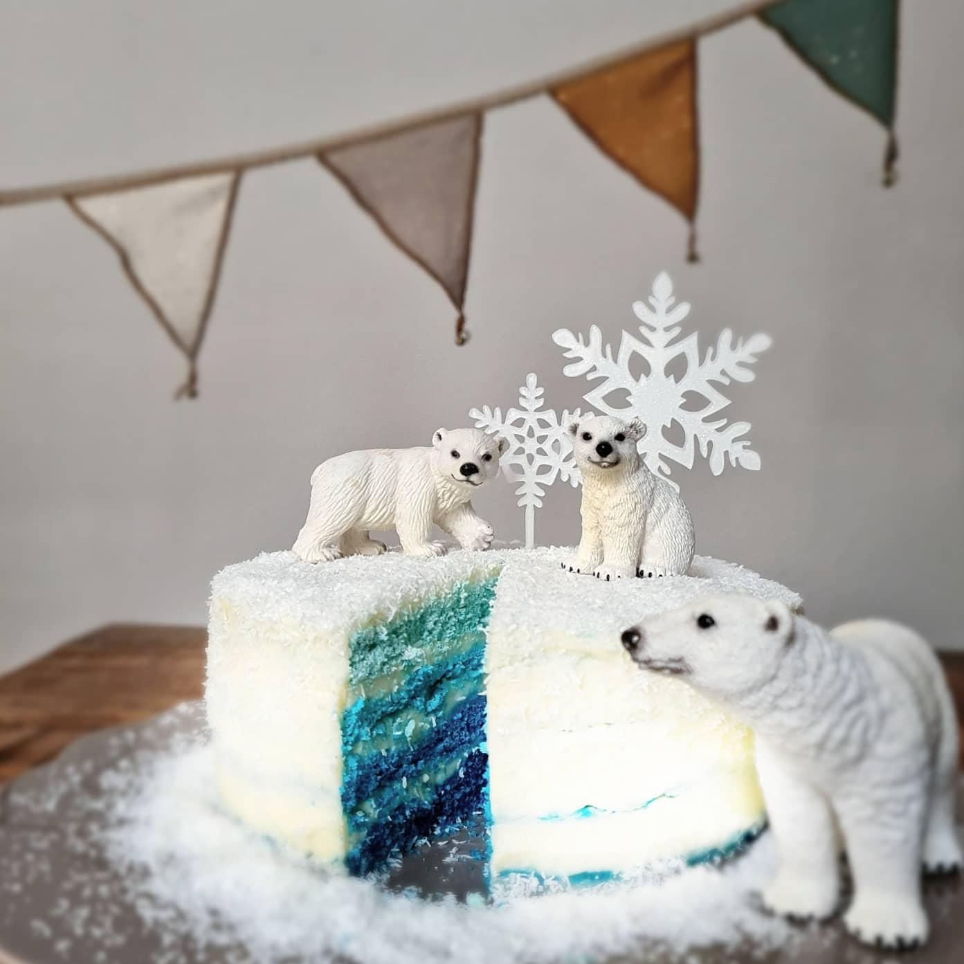 Passend zum Wetter war der Geburtstagskuchen heute ein #arcticcake  ☺❄❄❄ #geburtstagstorte 