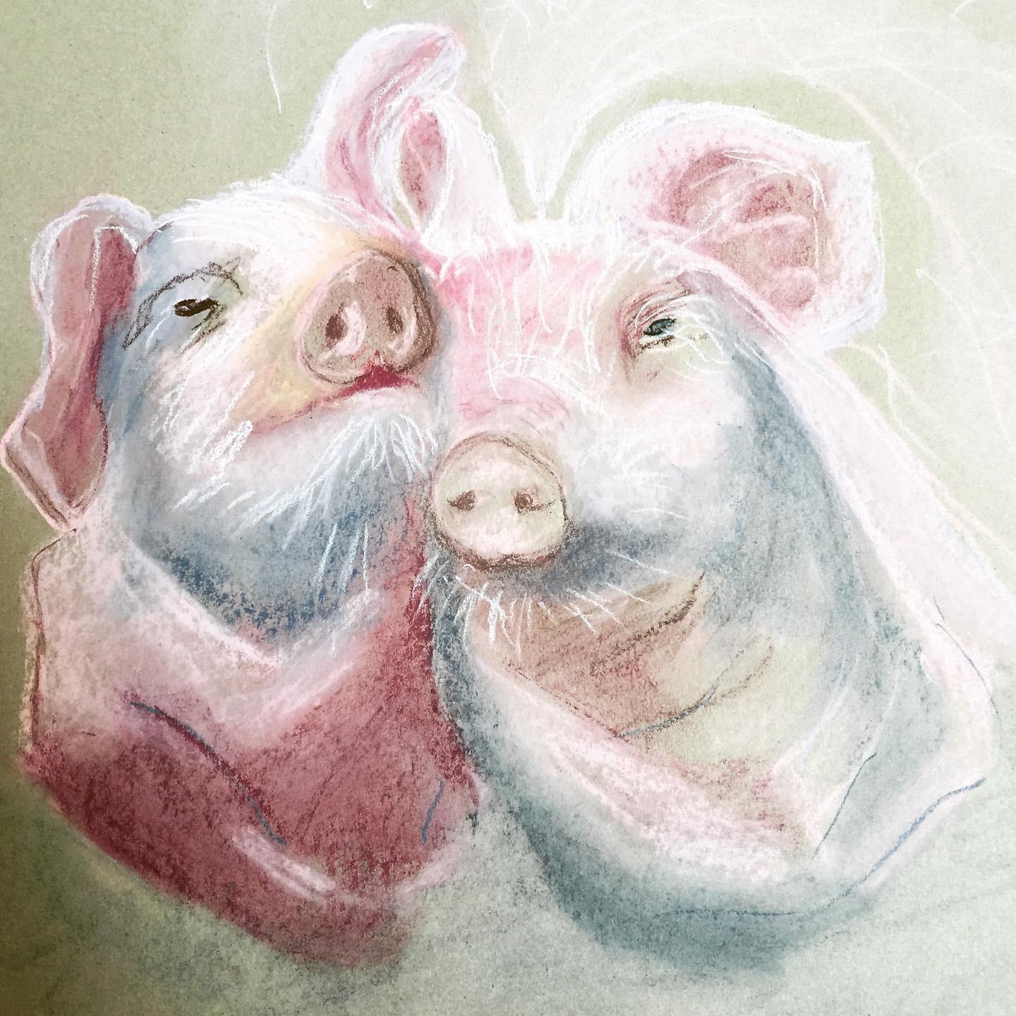 Pastellzeichnung Piggies #pastellkreide #zeichnen #diy #vegan