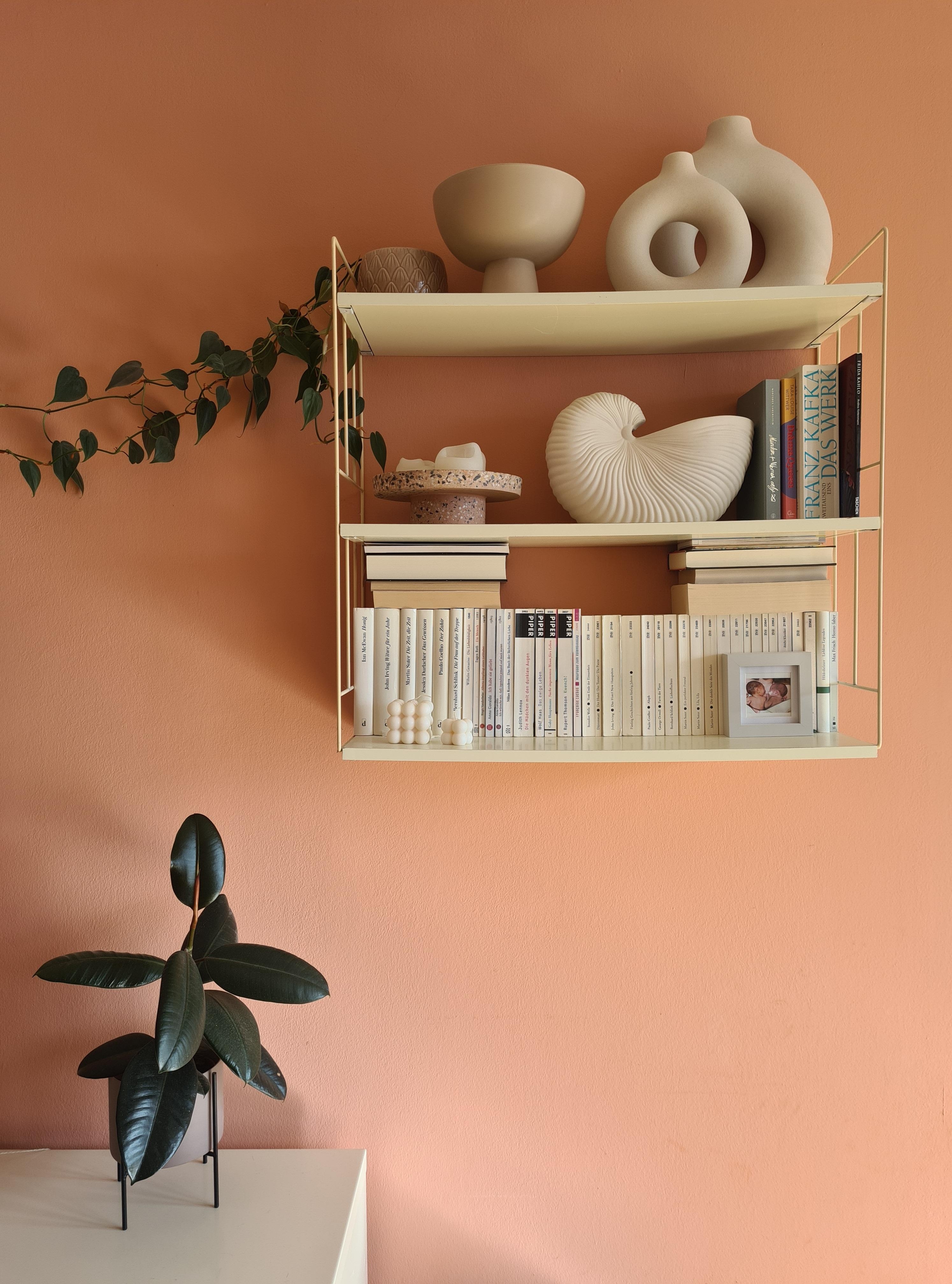 Peach Fuzz im Wohnzimmer 🙌
#wandfarbe #peachfuzz #bücherregal #wandregal #efeutute #pflanzen #vasen