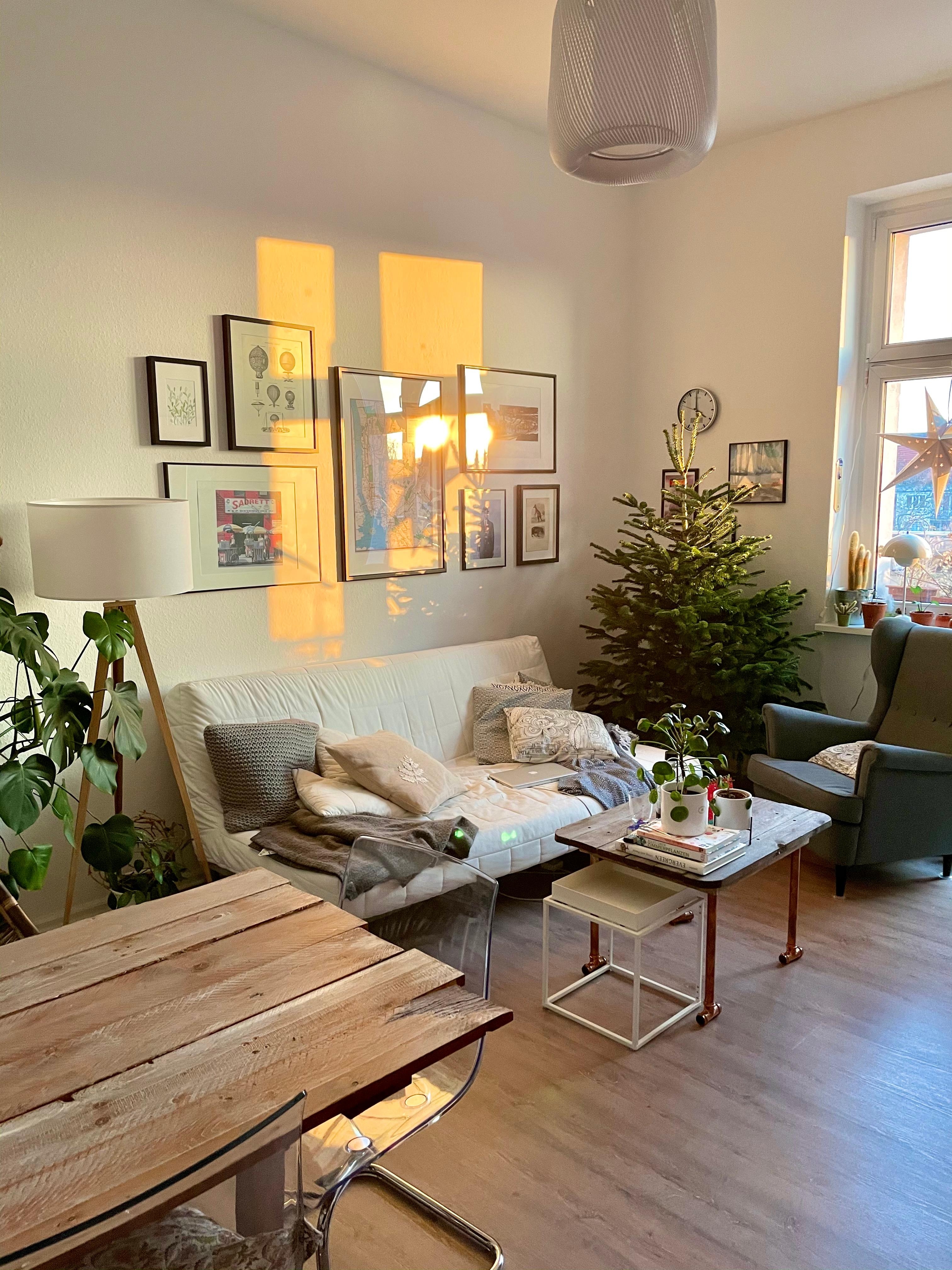 Perfekter Start in den Tag ✨ #morgensonne #wohnzimmer #weihnachtsbaum