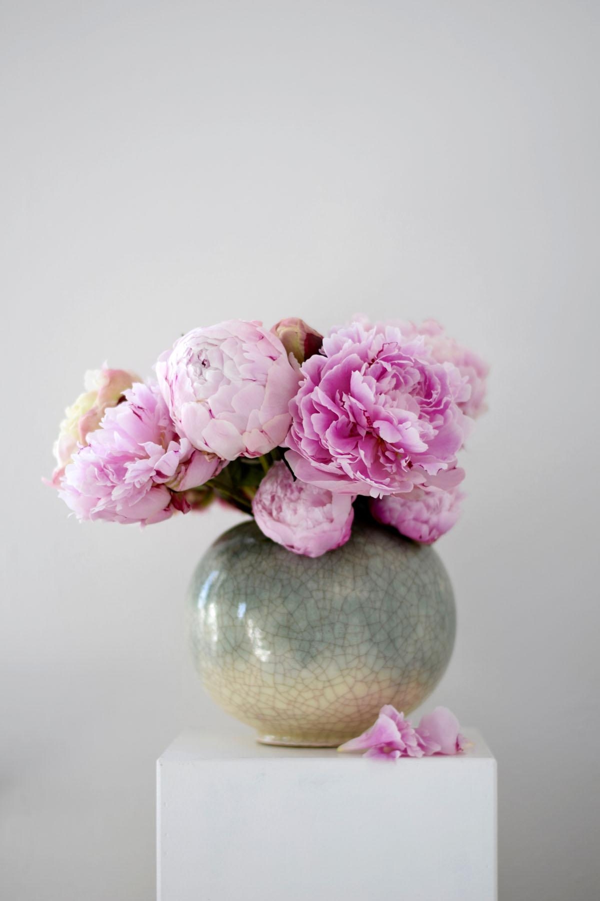 Pfingstrosen in der wunderschön craquelierten Art Deco Vase...
#flowerpower #pfingstrosen #lieblingsblumen #farben