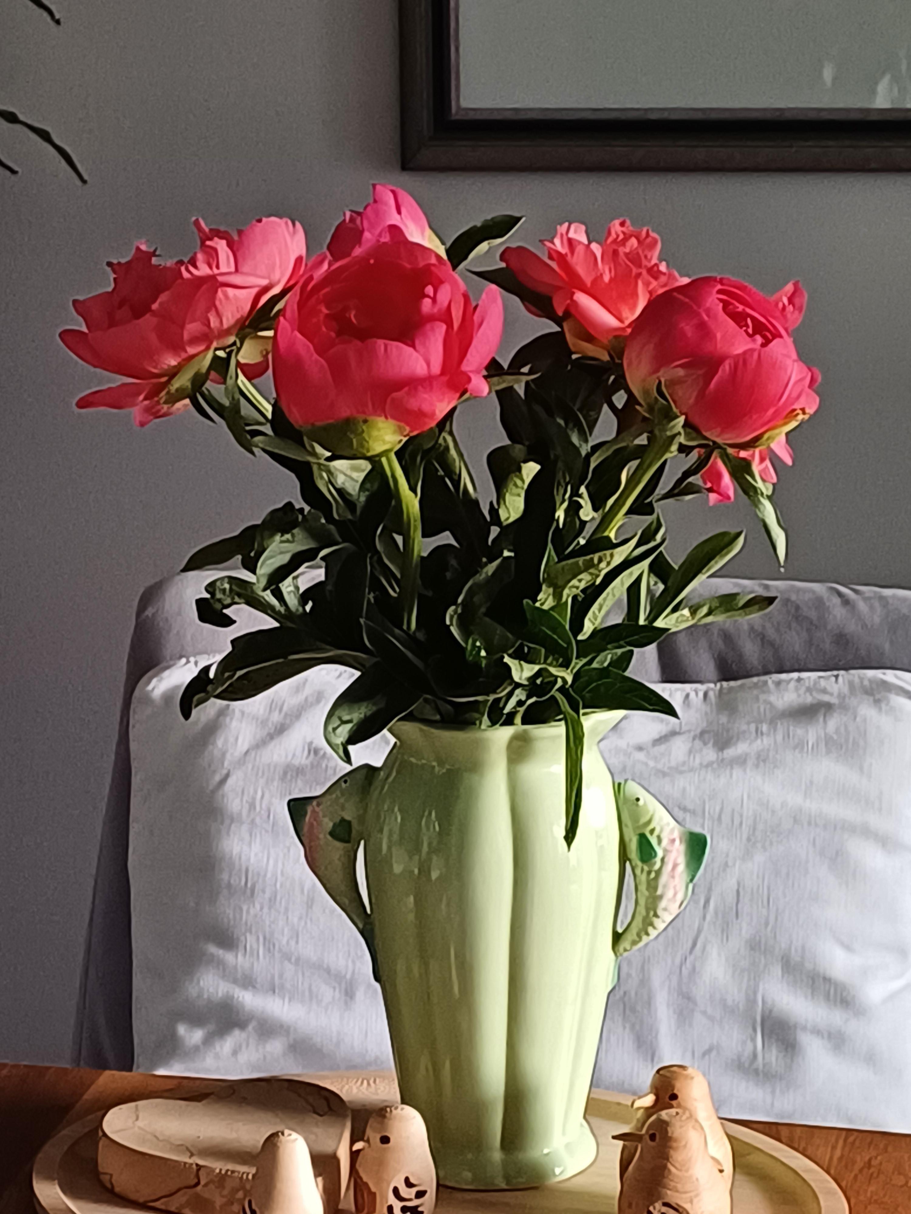 Pfingstrosen, meine Lieblingsblumen!