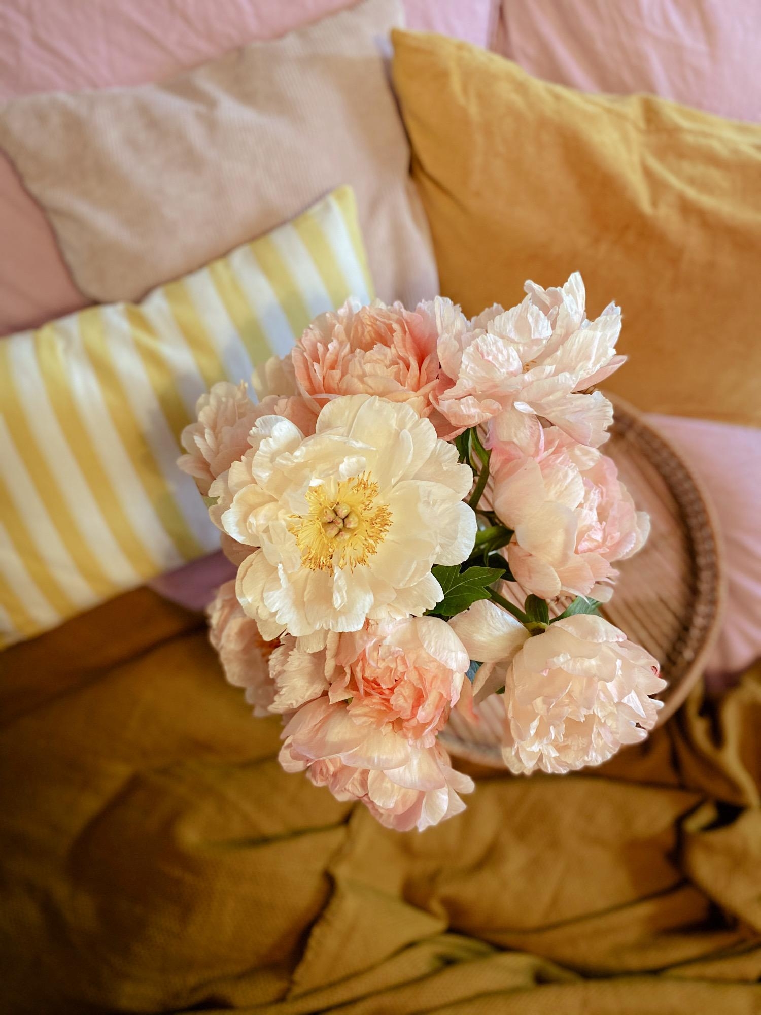 #pfingstrosen#flowerpower#bedroom#colourfulhome#blumenmädchen#peonies#coralsunset#favouritecolours