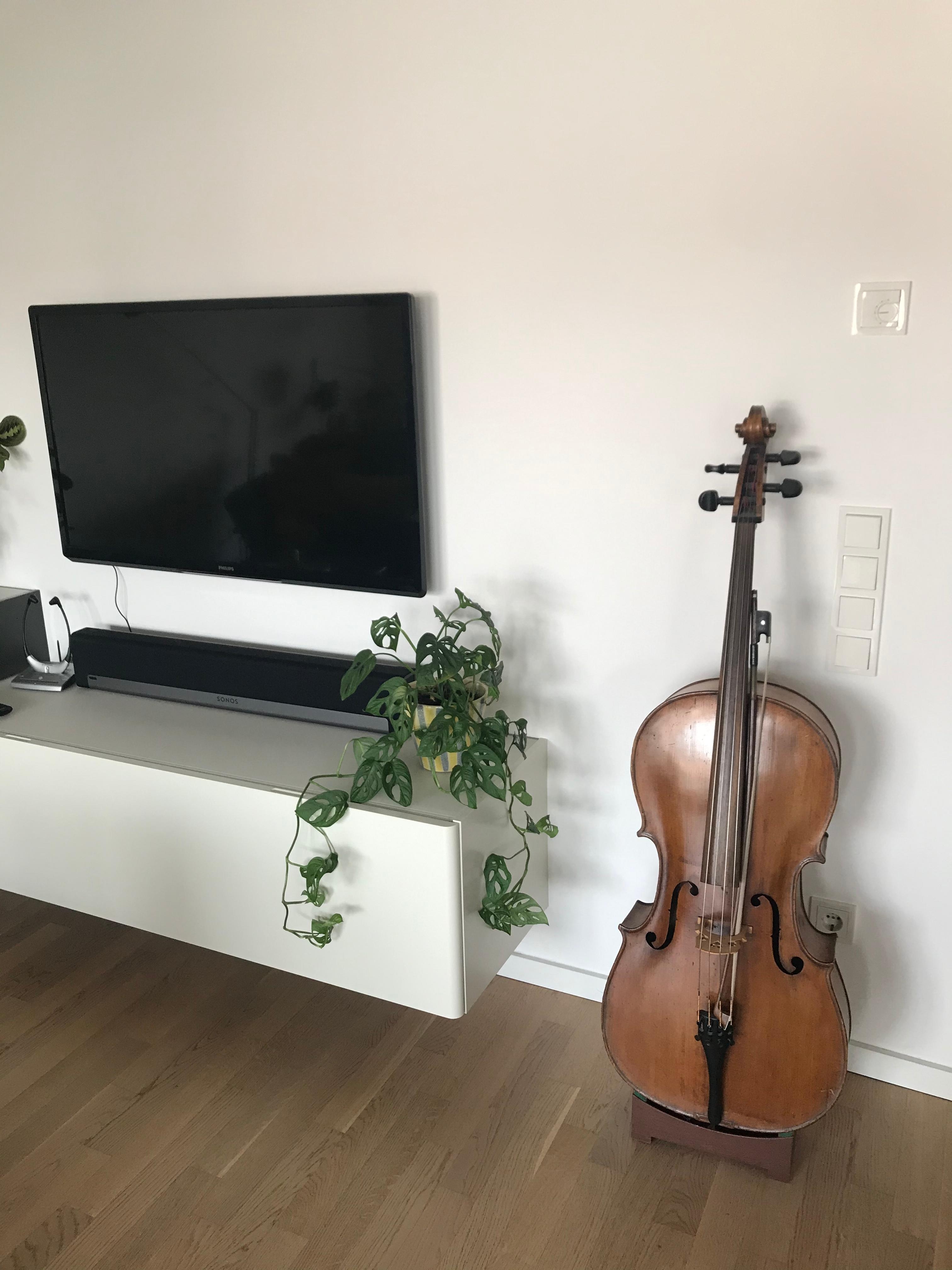 Pflanze mit Cello 