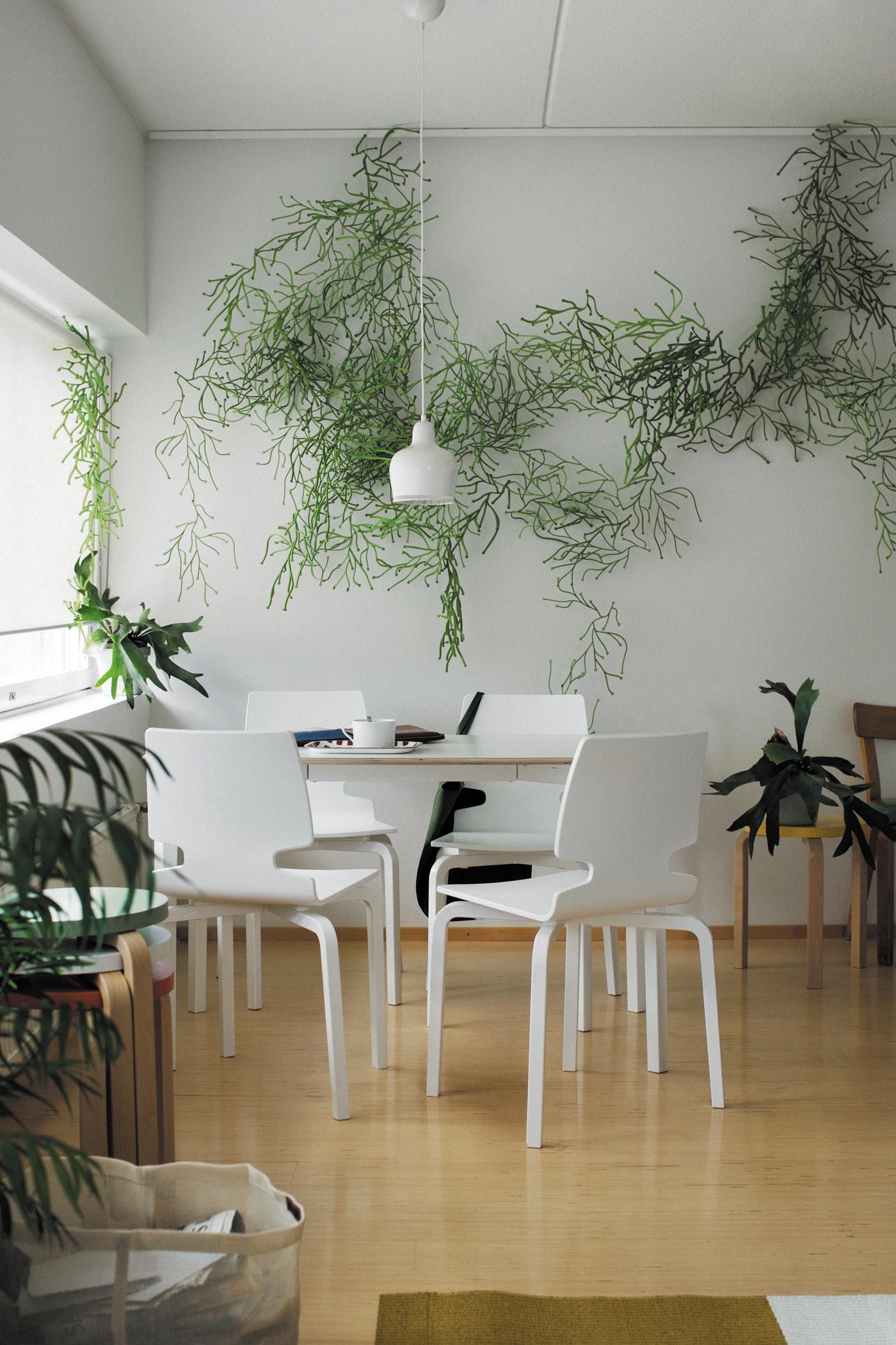 Pflanzen als Wanddeko #hocker #wohnzimmer #esstisch #wandgestaltung #holzhocker #wanddeko #pflanzendeko ©Artek