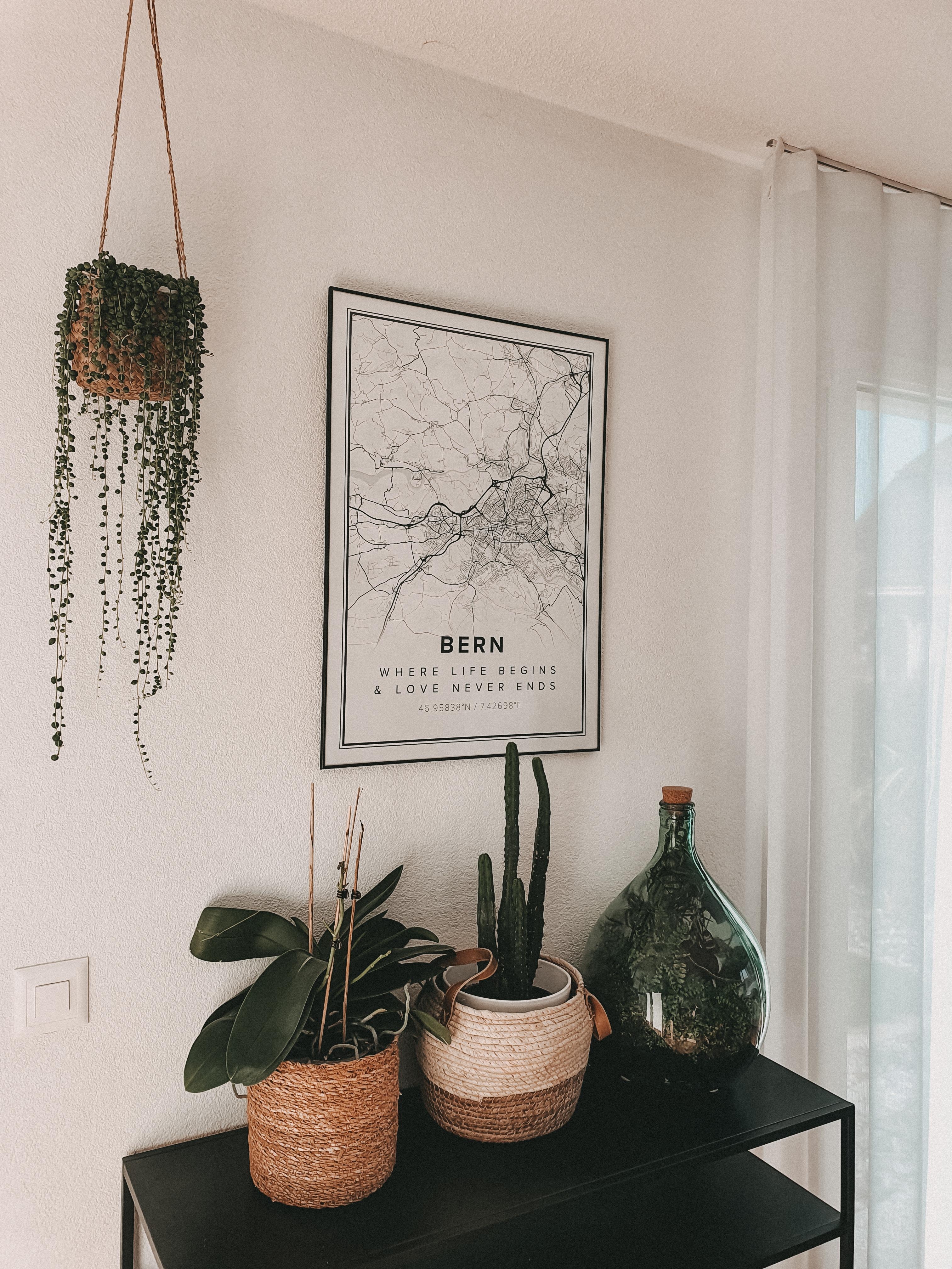 Pflanzen kann man nie genug haben 🌿💕

#pflanzenliebe #dekoinspo #couchstyle