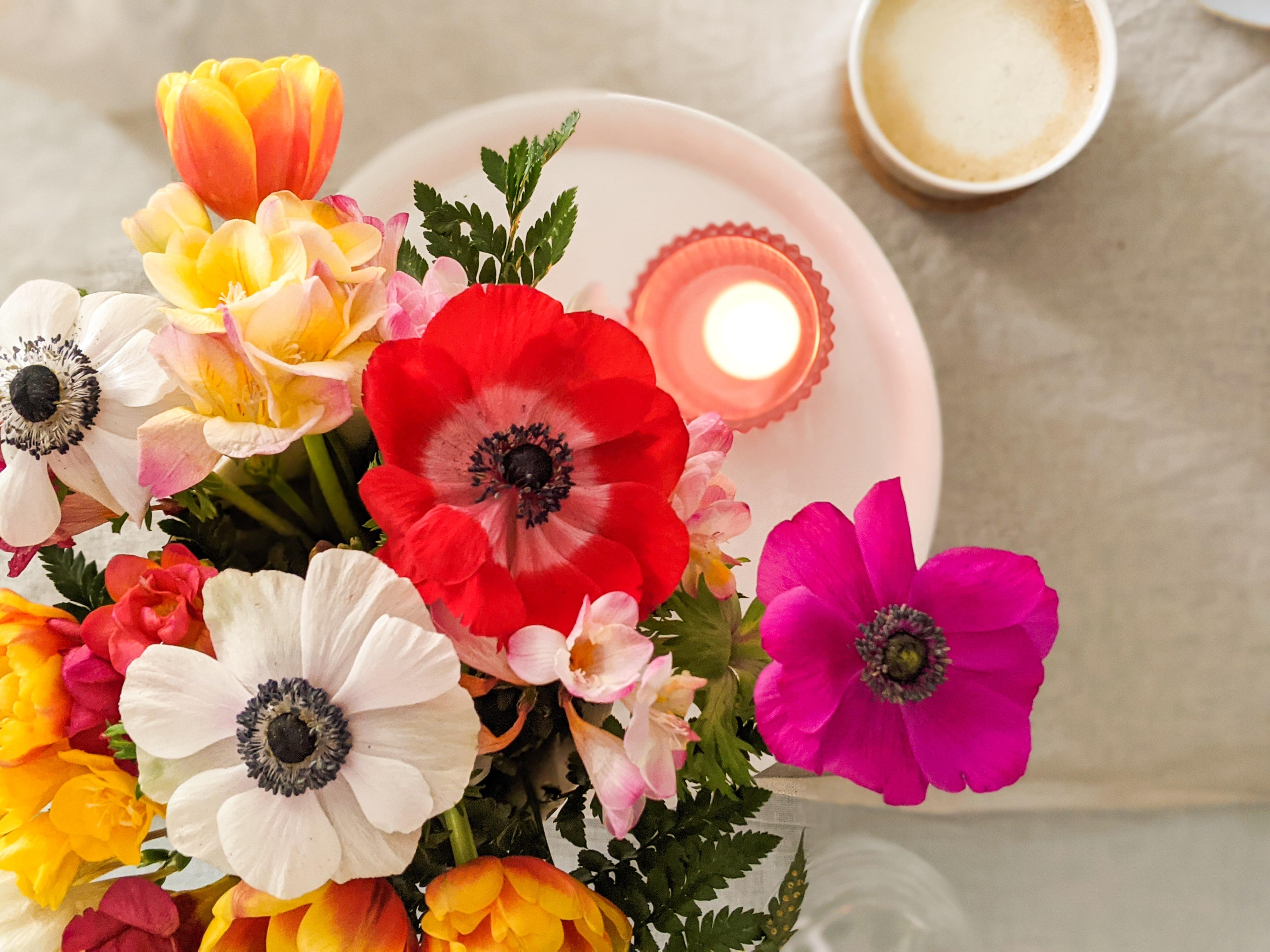 #pflanzen #livingchallenge

Blumengruß
#anemone #tulpen #ranunkeln #kerzen #kaffee #tischdeko 