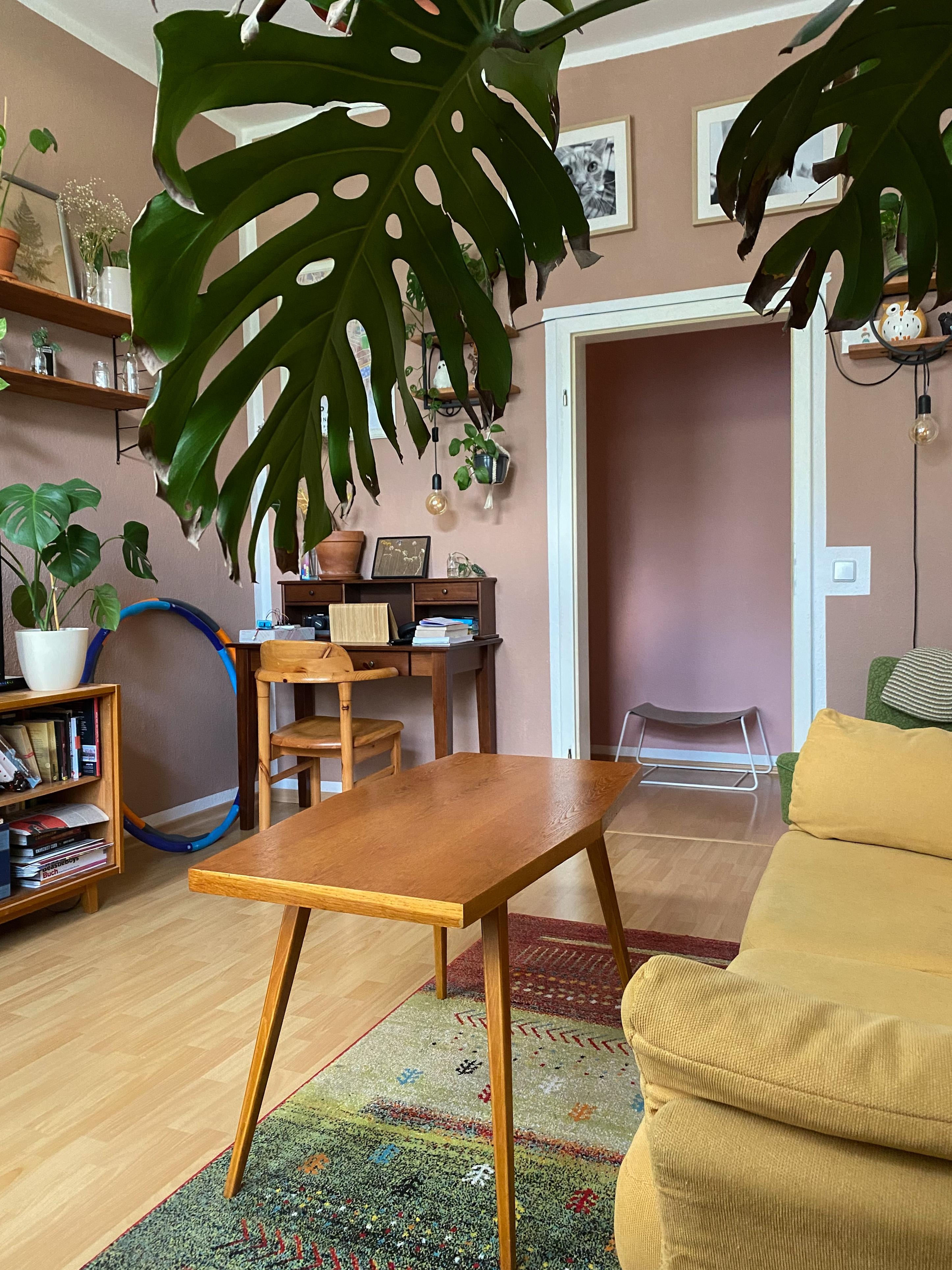 Pflanzenblick im #wohnzimmer. 
#urbanjungle #monstera #interior #sofa #vintage