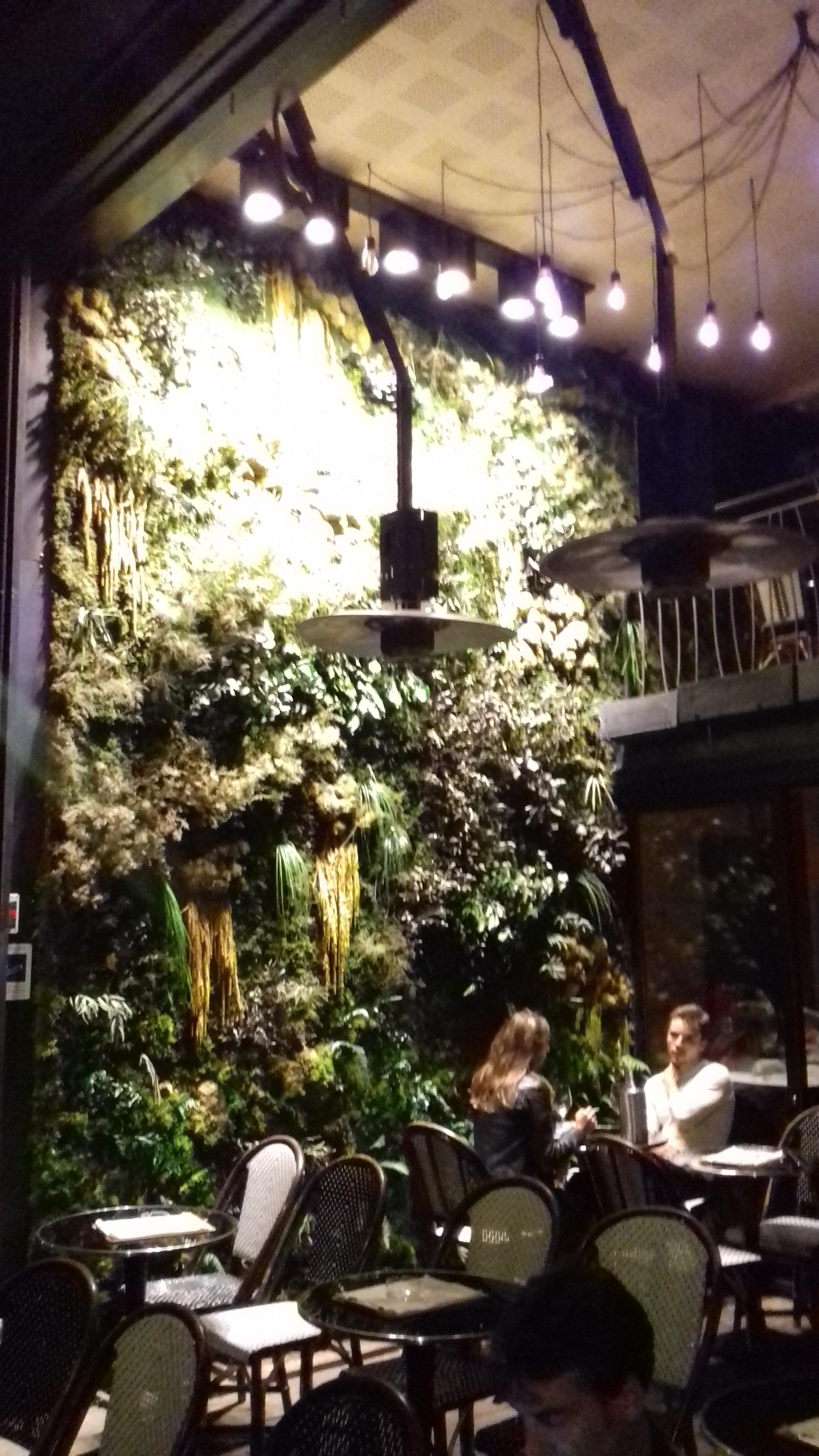 #Pflanzendekoration #Café Paris