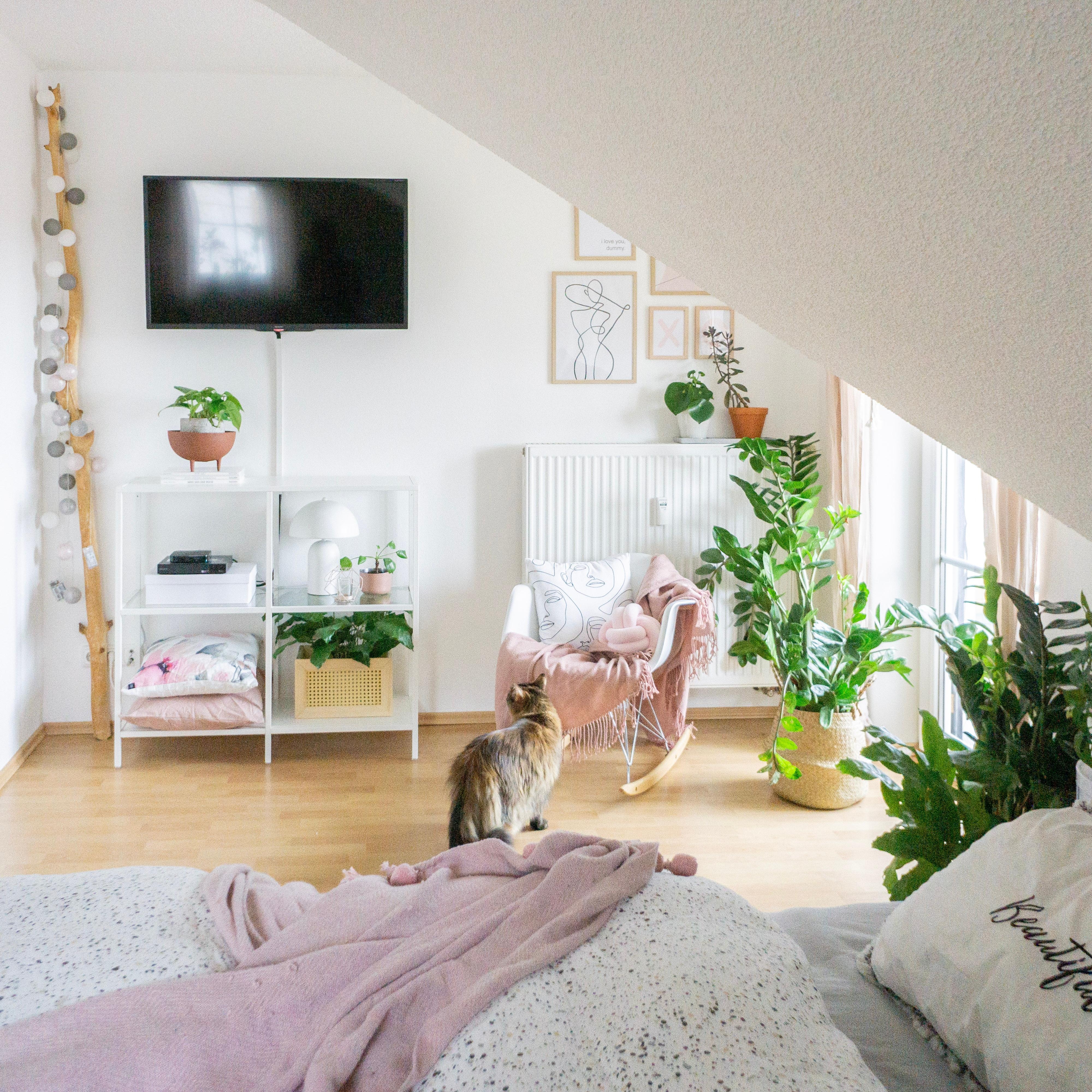 #pflanzenliebe #bedroom #schlafzimmer #interiorjunkie#blog #catmom #catlove #diyliebe #diymöbel #diy