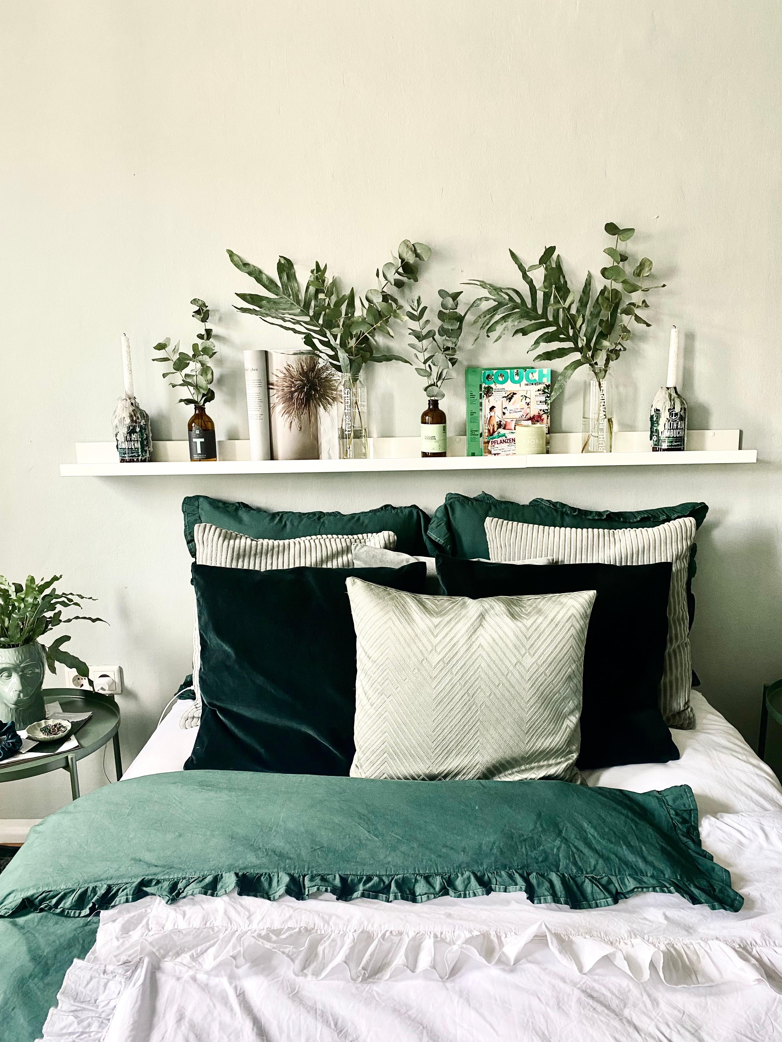 #pflanzenliebe #couchmag #greengreengreen #norainnoflowers 