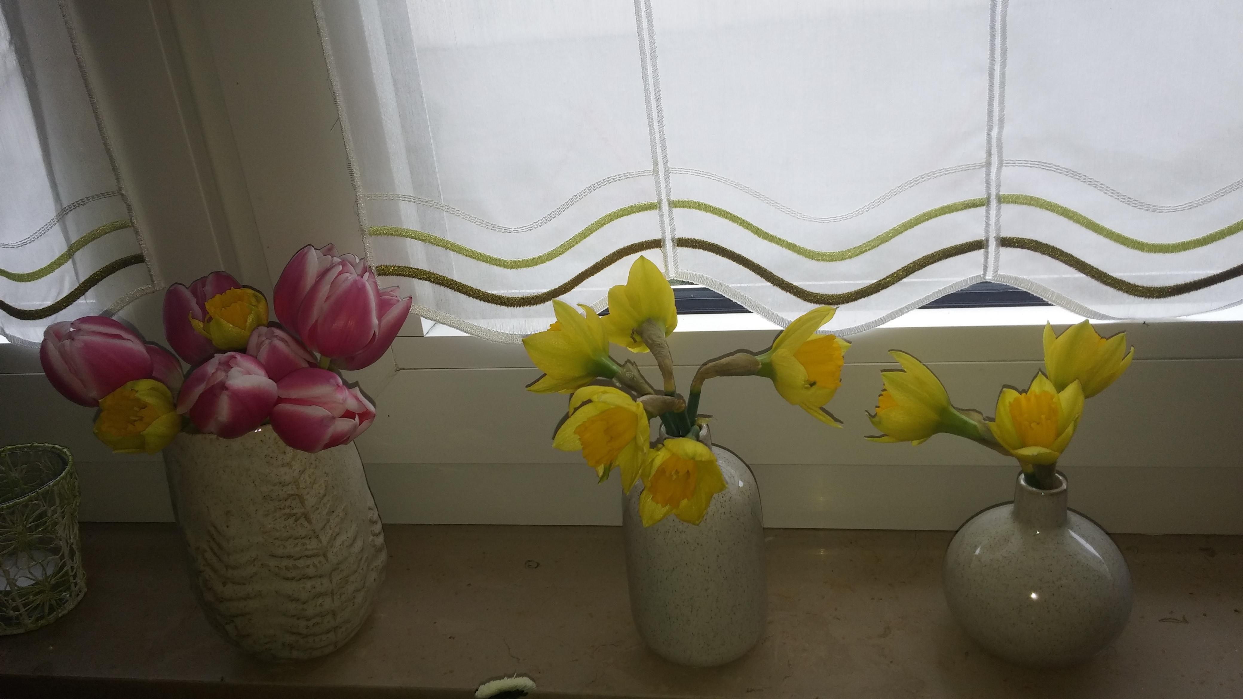 #Pflanzenliebe #Vasen #Frühling #Blumen