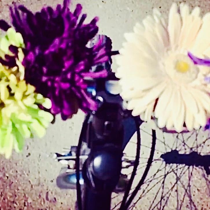 Pimp my Ride 🤍 #blumendeko #bycicle #pimpmyride #flowers #springfeelings #🌸